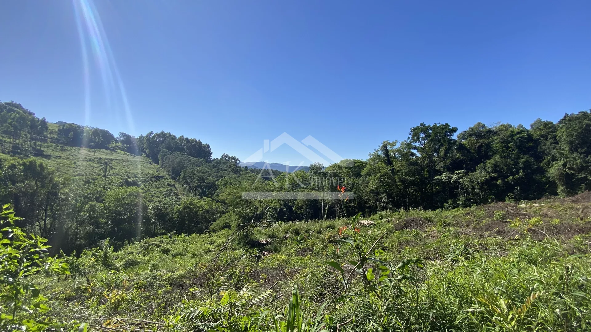 Bela área com vista e riacho à venda em Linha Nova na Serra Gaúcha!
