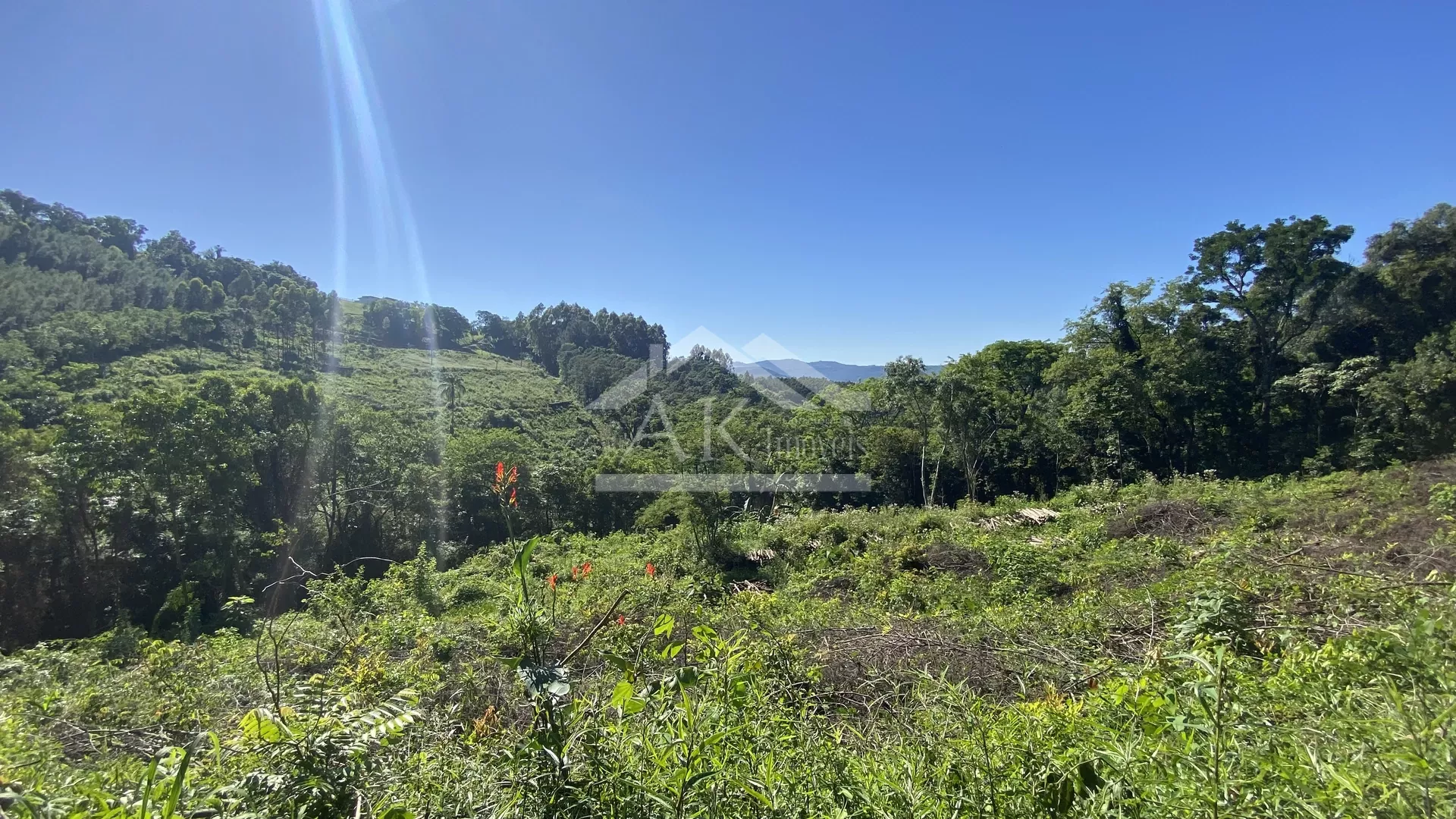 Bela área com vista e riacho à venda em Linha Nova na Serra Gaúcha!