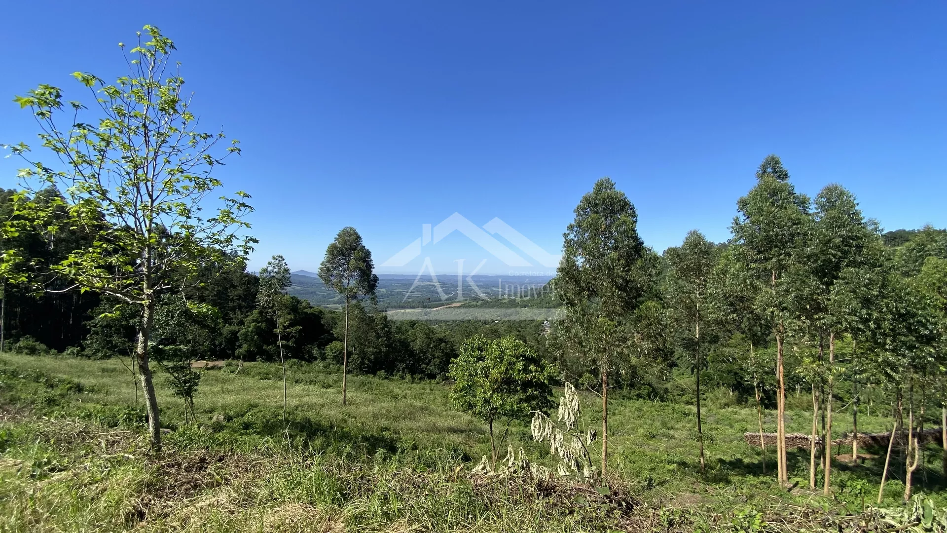Bela área com vista e riacho à venda em Linha Nova na Serra Gaúcha!