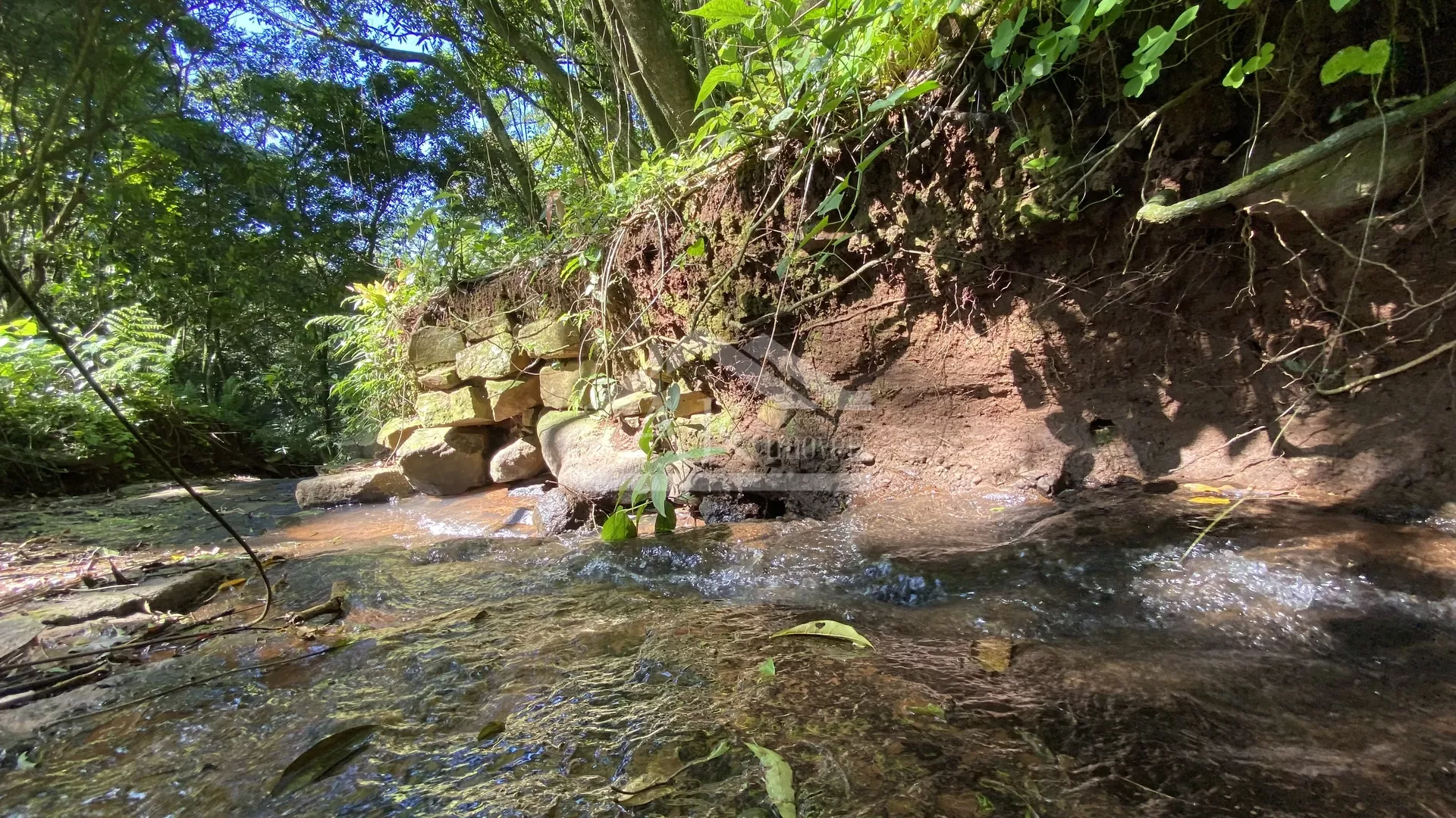 Bela área com vista e riacho à venda em Linha Nova na Serra Gaúcha!