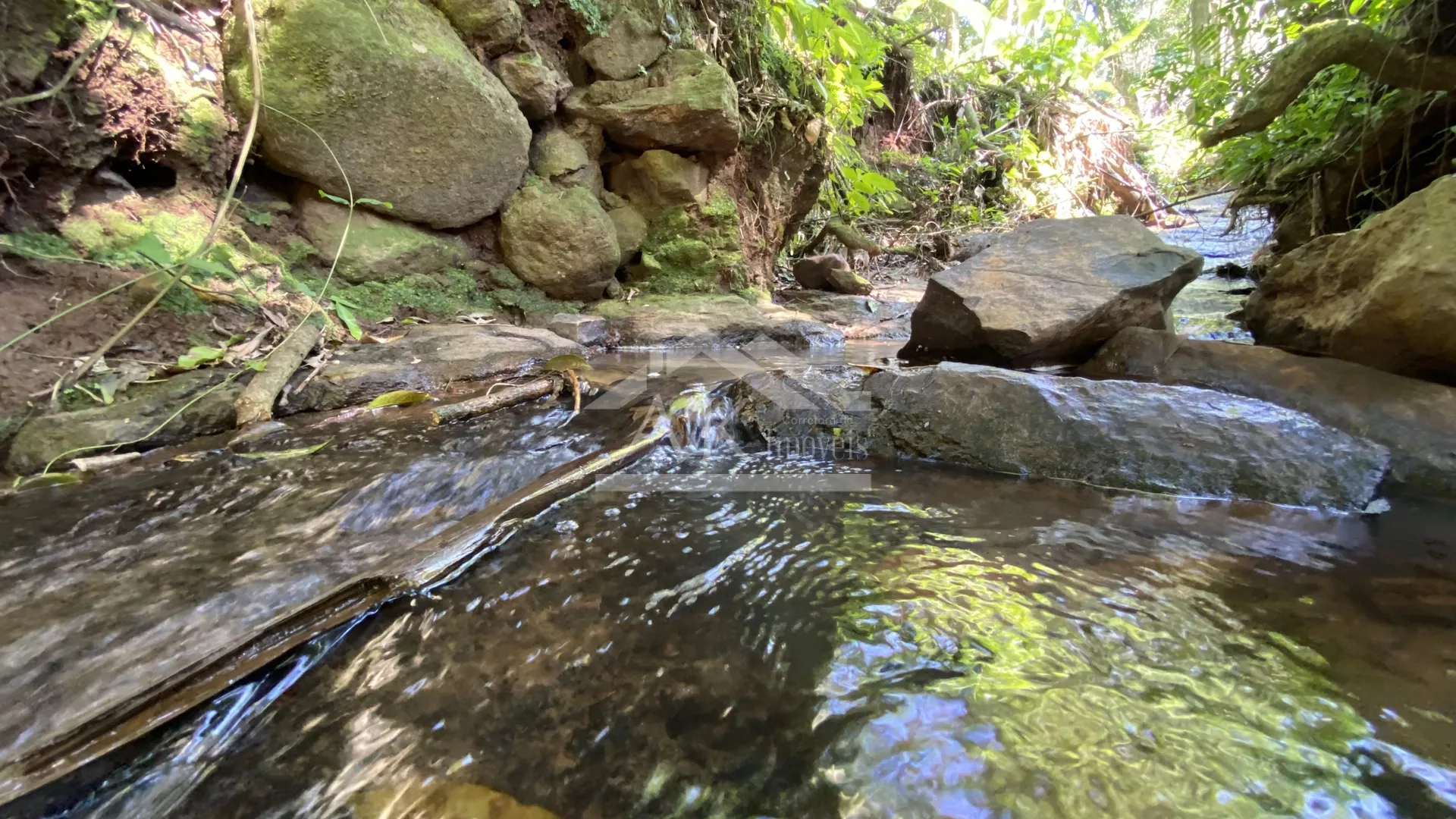 Bela área com vista e riacho à venda em Linha Nova na Serra Gaúcha!