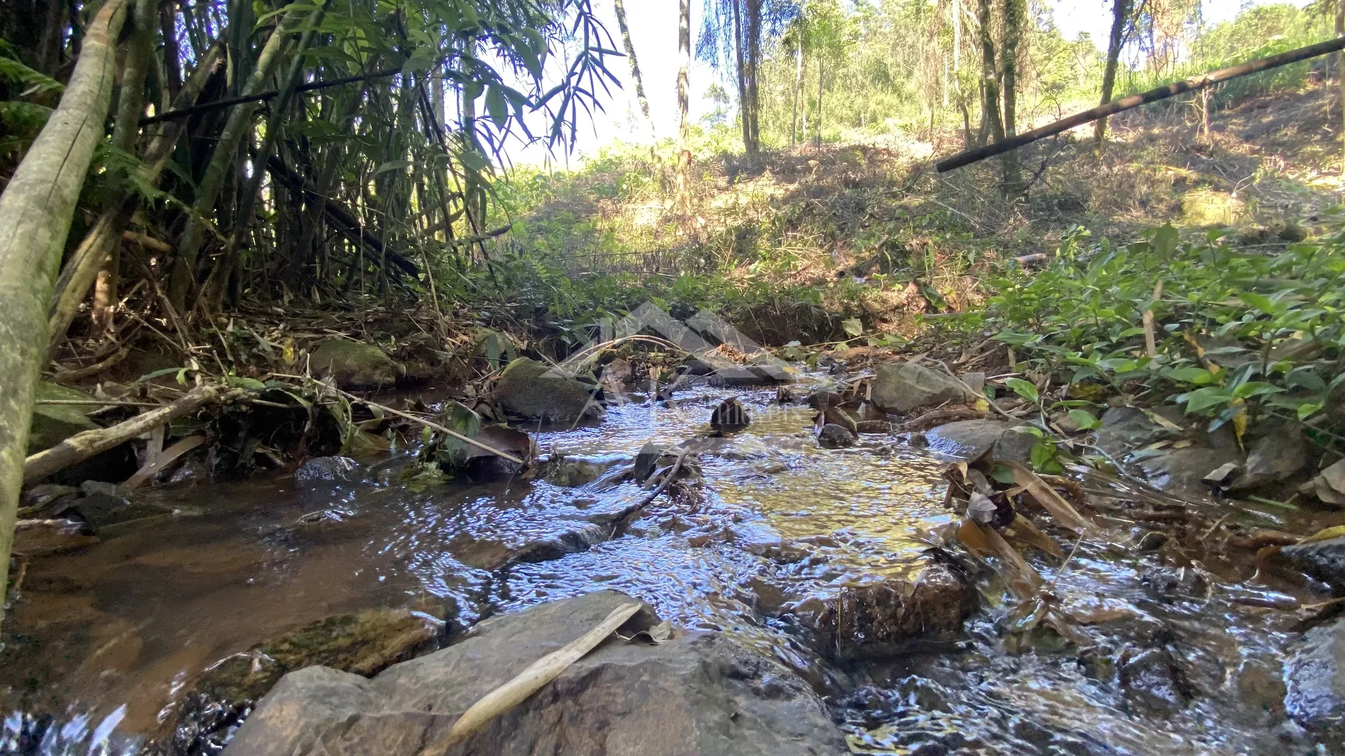 Bela área com vista e riacho à venda em Linha Nova na Serra Gaúcha!