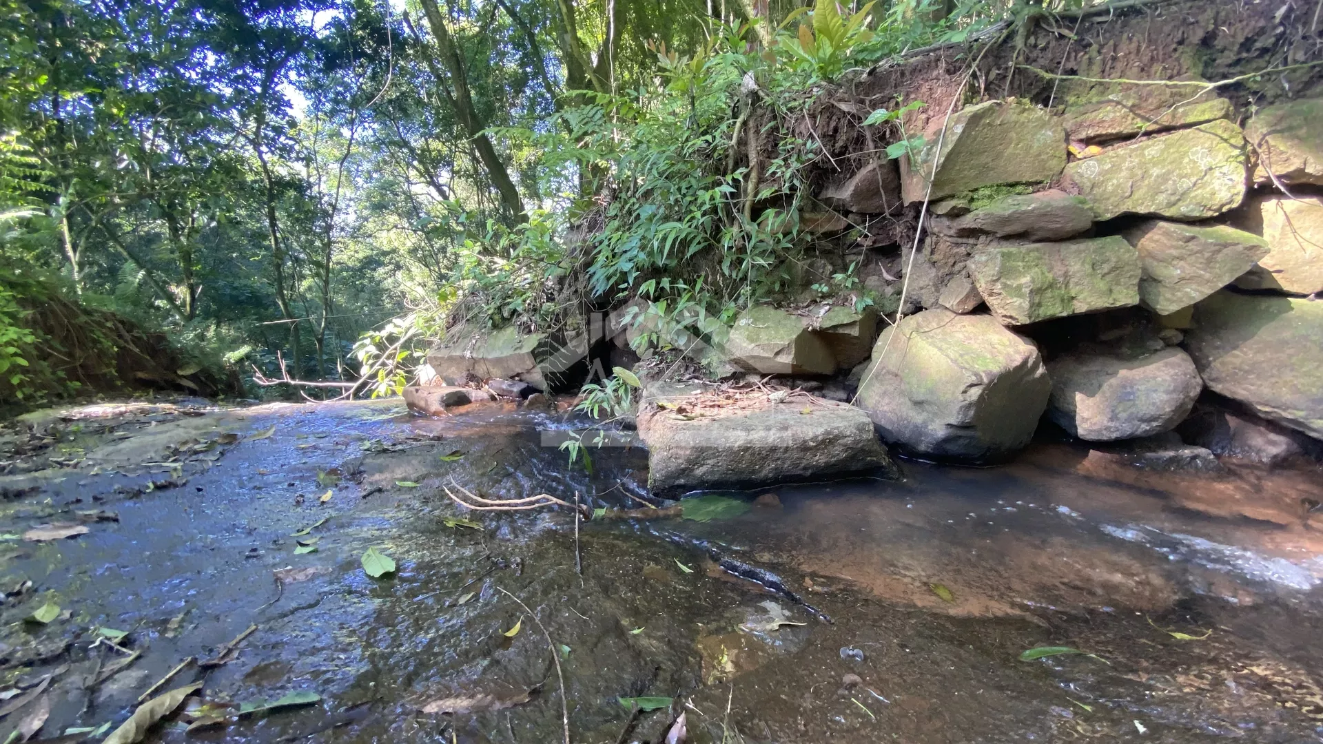 Bela área com vista e riacho à venda em Linha Nova na Serra Gaúcha!