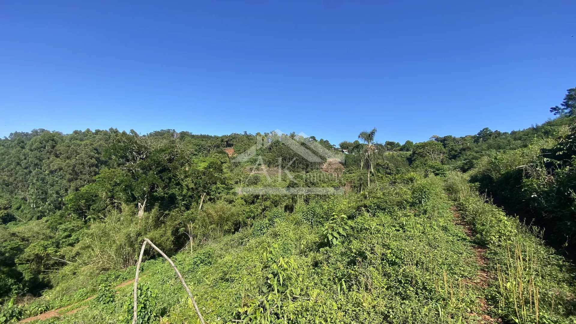 Bela área com vista e riacho à venda em Linha Nova na Serra Gaúcha!