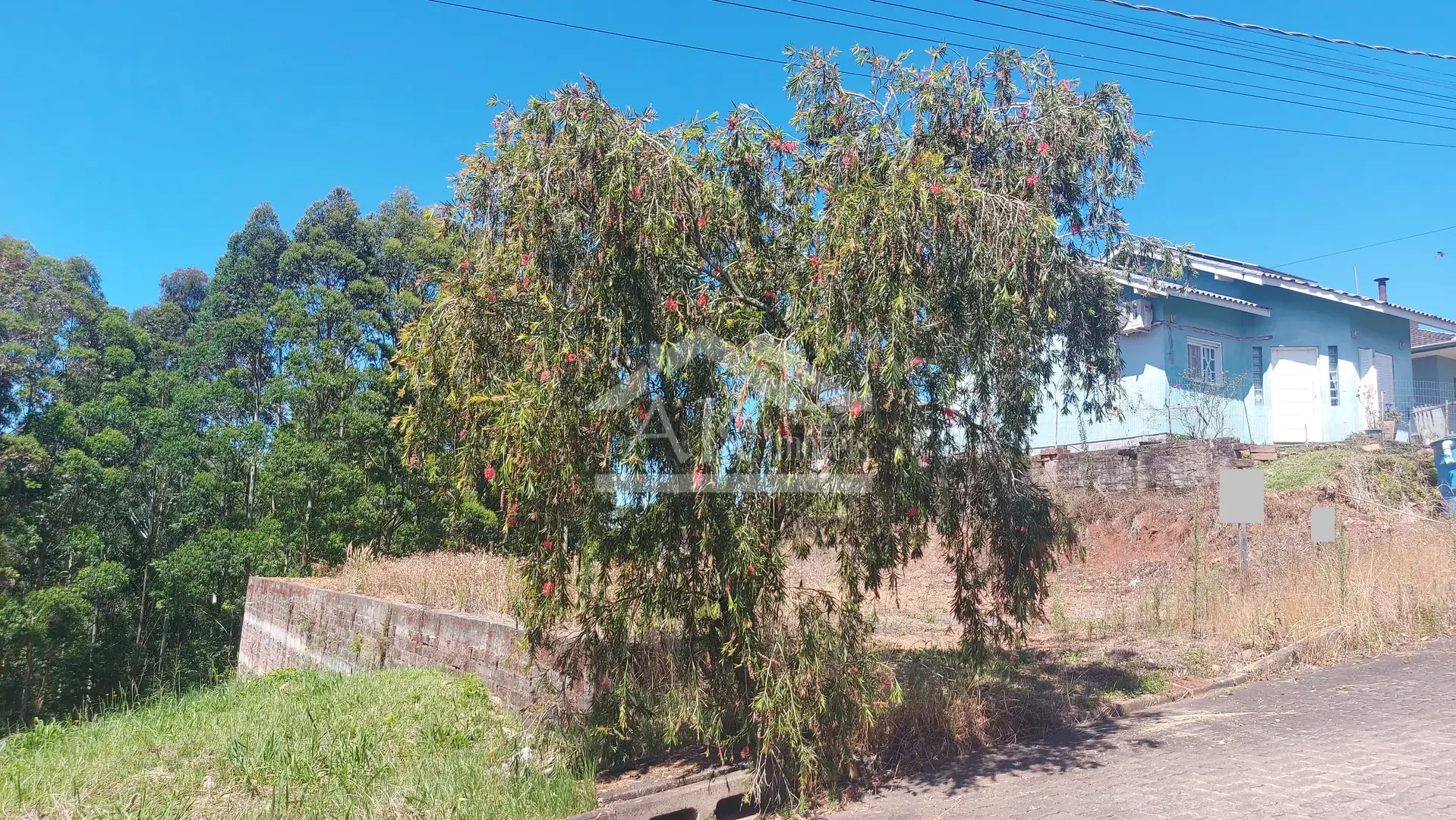 Terreno amplo e plano à venda em Nova Petrópolis, na Serra Gaúcha