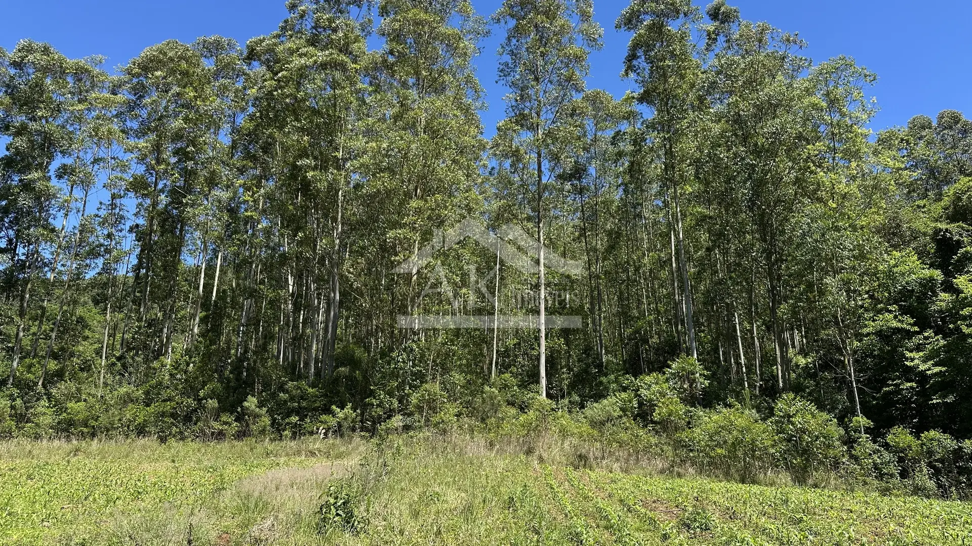 Imagens do imóveis Sítio com casa de 3 quartos à venda em Picada Café na Serra Gaúcha