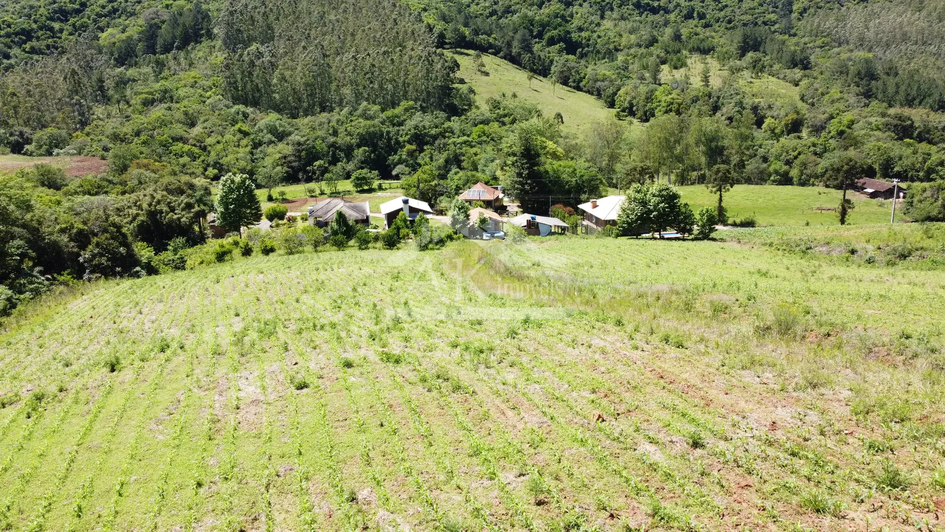 Imagens do imóveis Sítio com casa de 3 quartos à venda em Picada Café na Serra Gaúcha