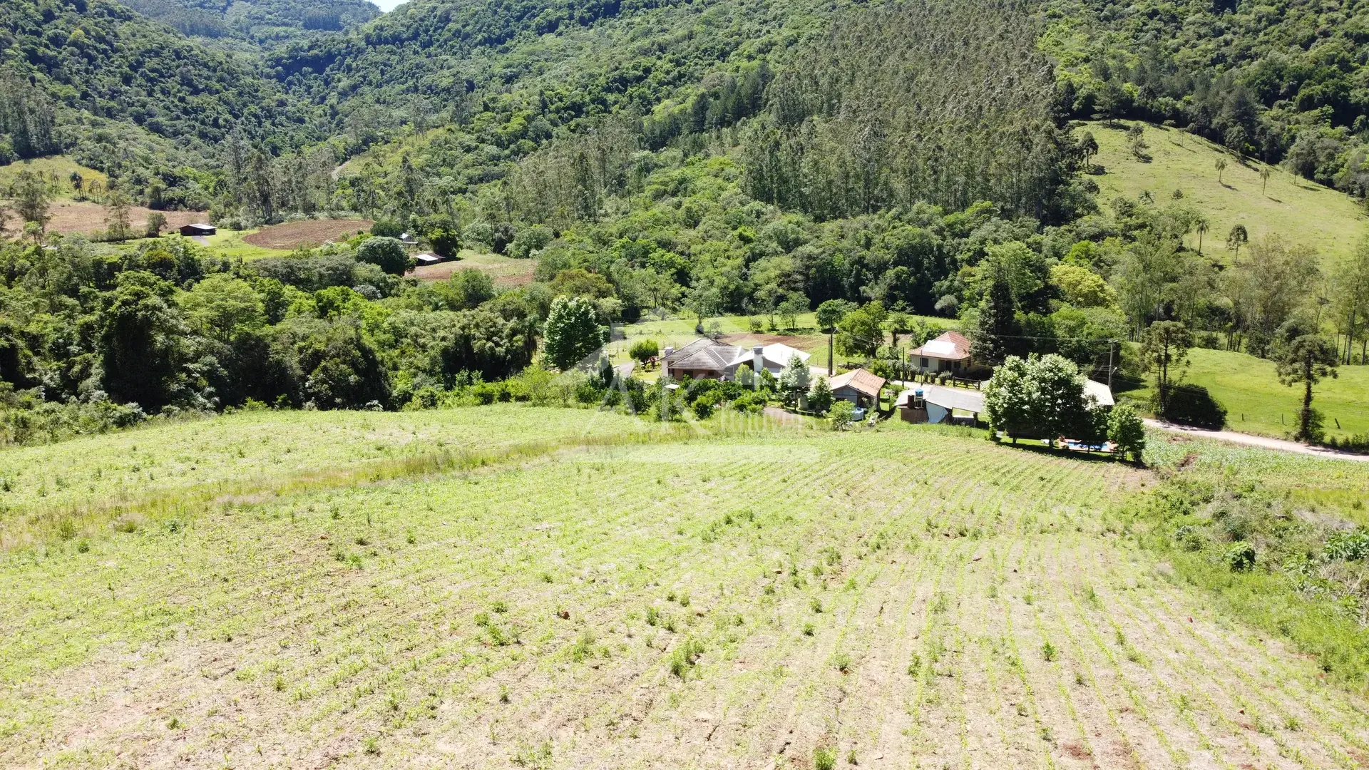 Imagens do imóveis Sítio com casa de 3 quartos à venda em Picada Café na Serra Gaúcha