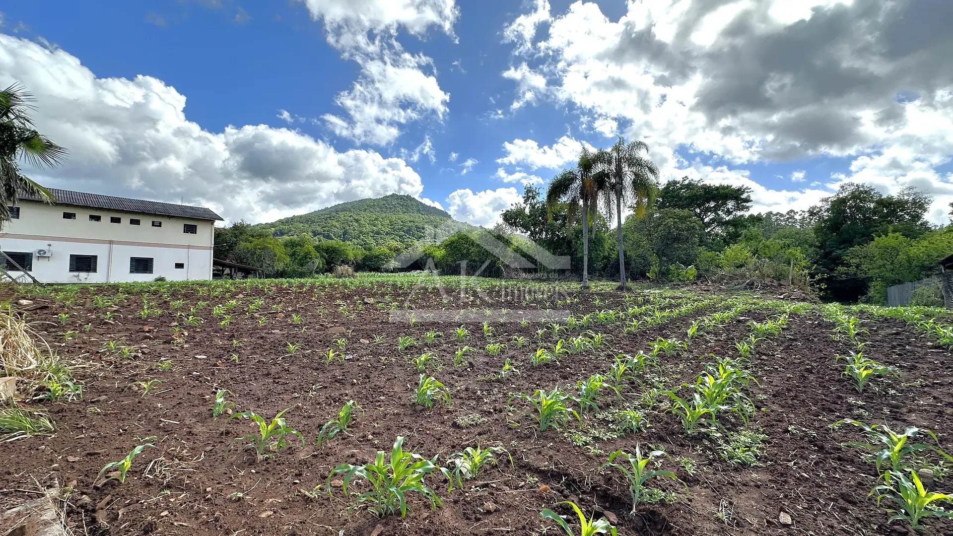 Amplo terreno comercial à venda no centro de Picada Café na Serra Gaúcha