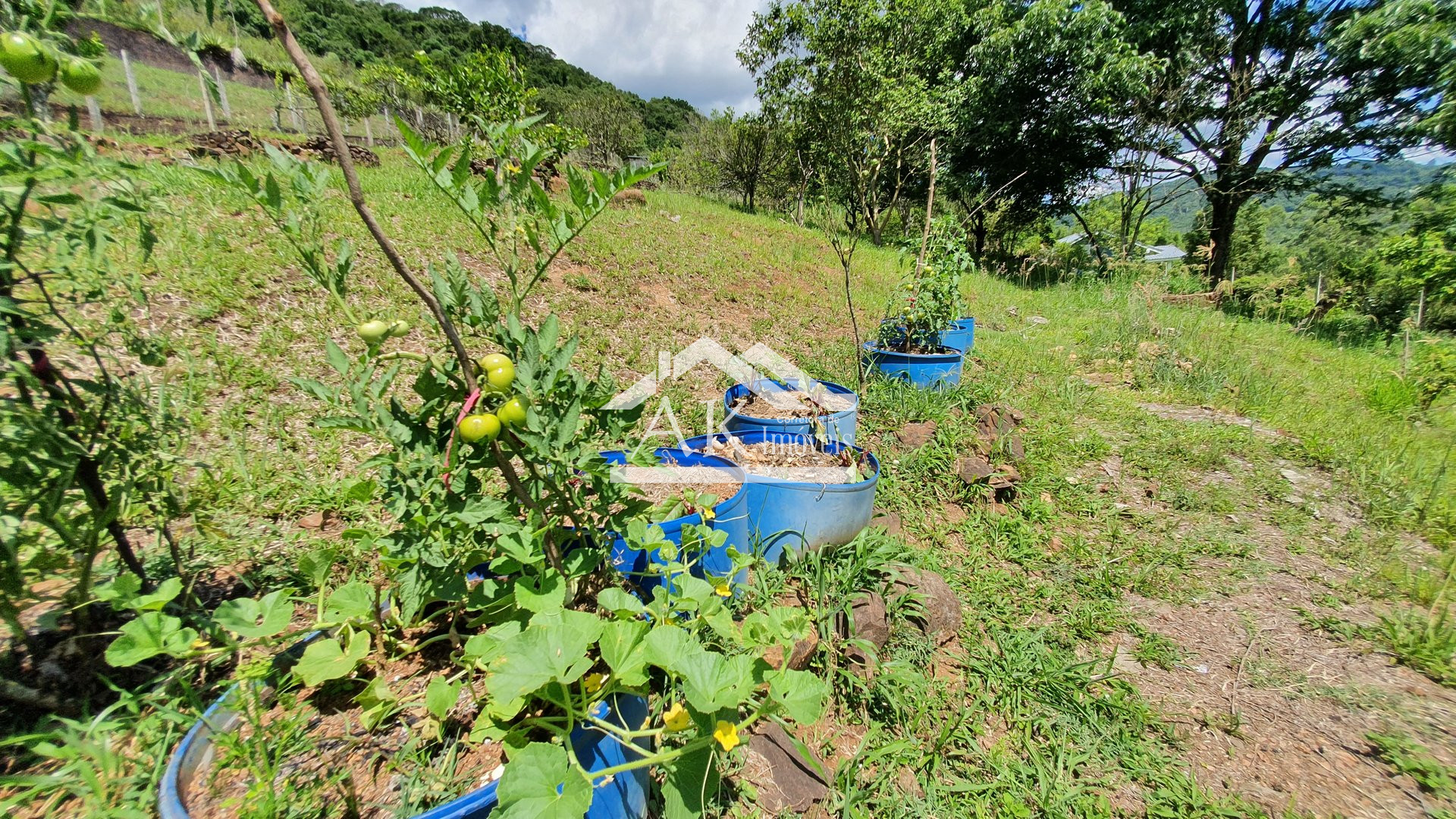 Sítio de alto padrão a venda em Picada Café na Serra Gaúcha
