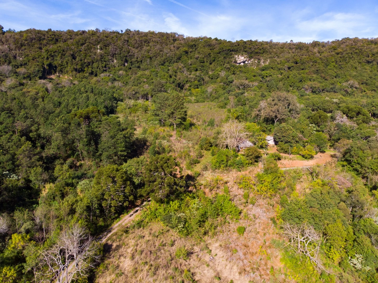 Área de terra à venda em Nova Petrópolis na Serra Gaúcha