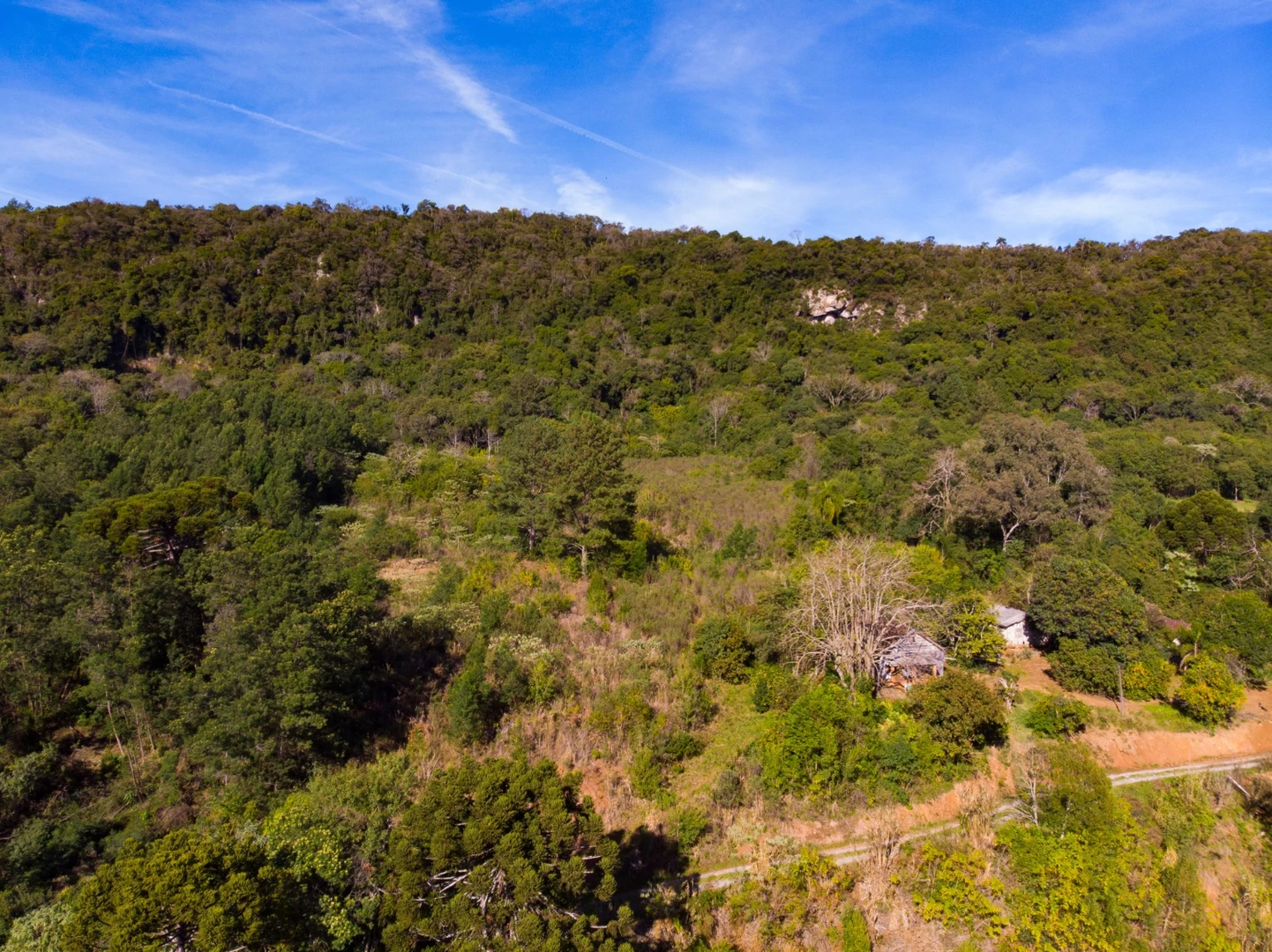 Área de terra à venda em Nova Petrópolis na Serra Gaúcha