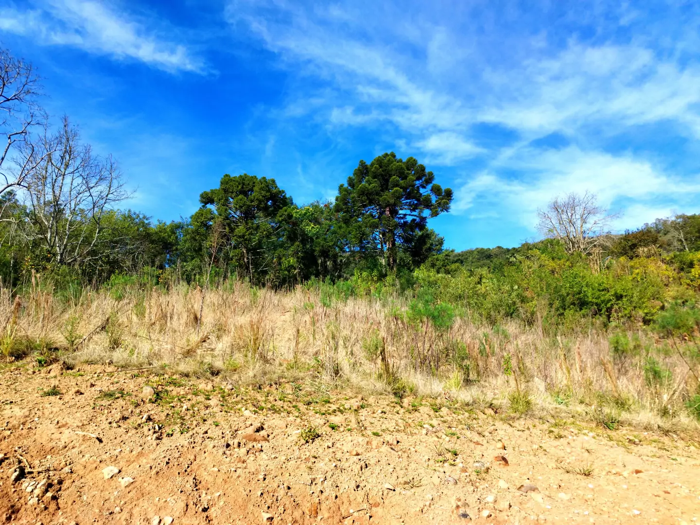 Área de terra à venda em Nova Petrópolis na Serra Gaúcha