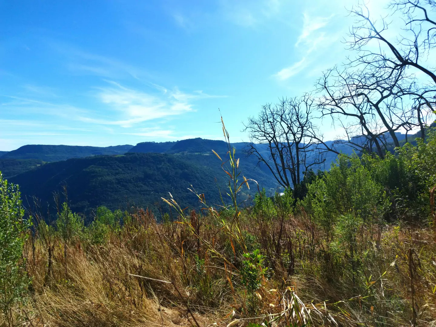 Área de terra à venda em Nova Petrópolis na Serra Gaúcha