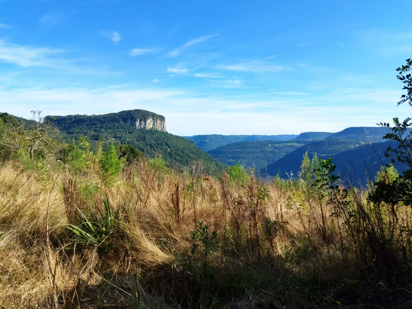 Área de terra à venda em Nova Petrópolis na Serra Gaúcha