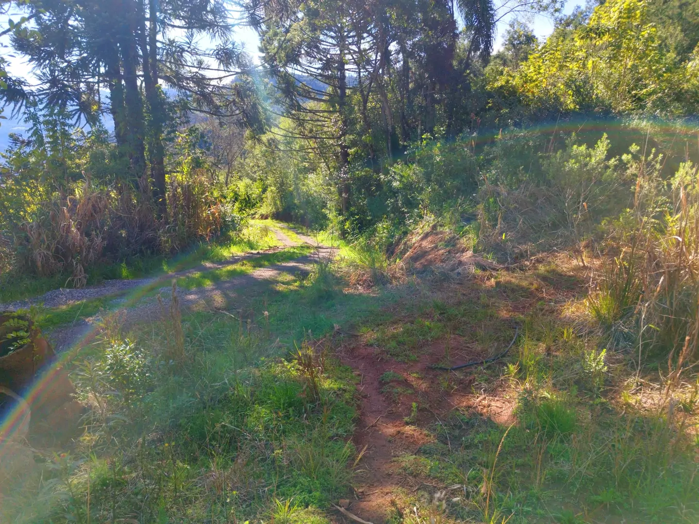 Área de terra à venda em Nova Petrópolis na Serra Gaúcha
