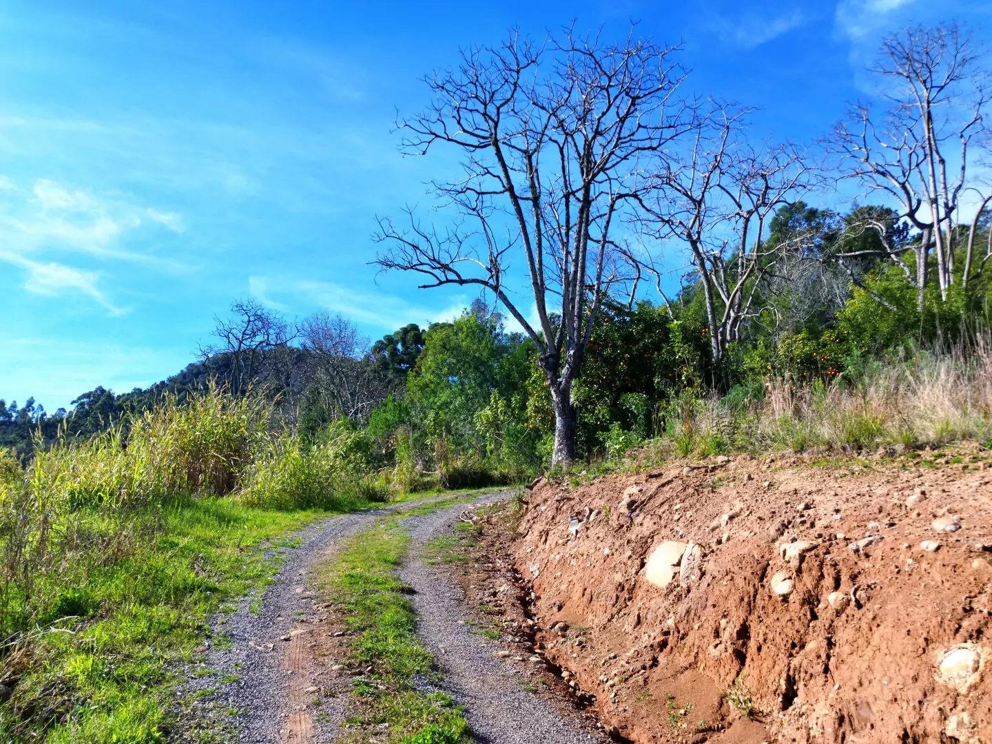 Área de terra à venda em Nova Petrópolis na Serra Gaúcha