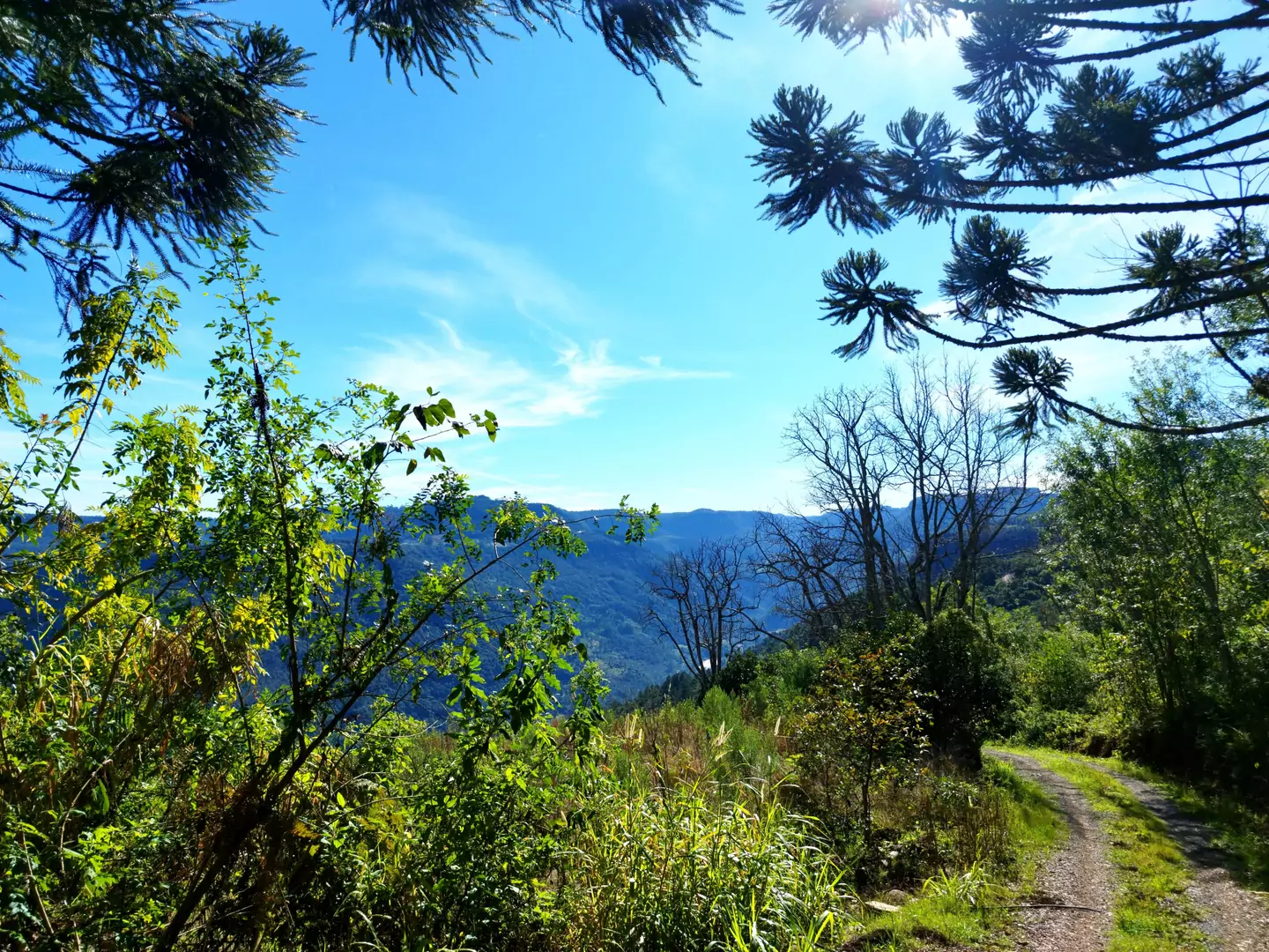 Área de terra à venda em Nova Petrópolis na Serra Gaúcha