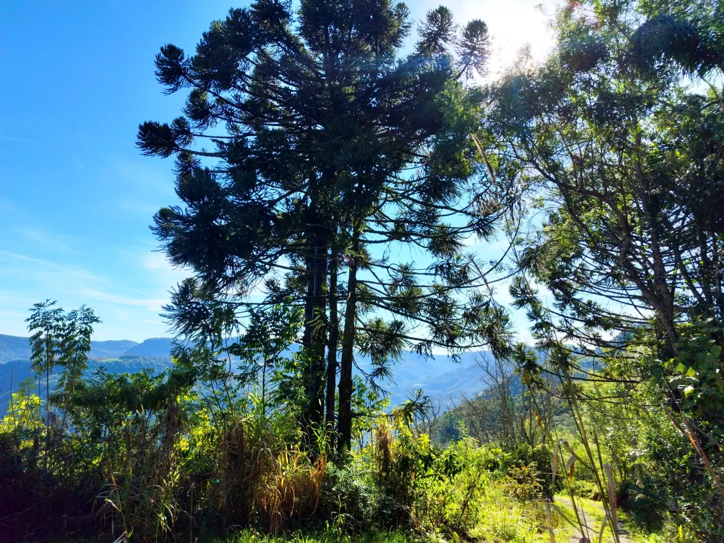 Área de terra à venda em Nova Petrópolis na Serra Gaúcha