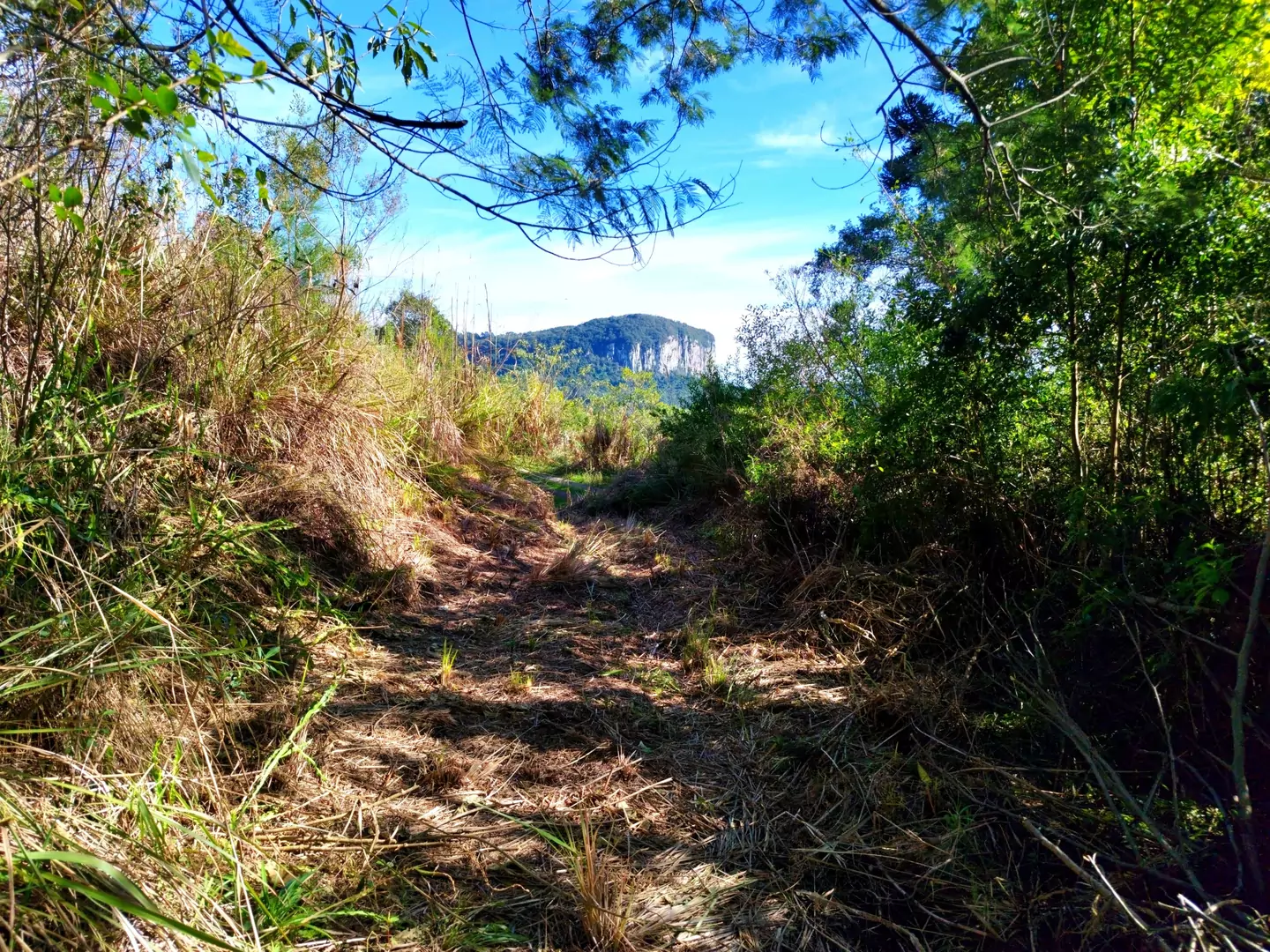 Área de terra à venda em Nova Petrópolis na Serra Gaúcha
