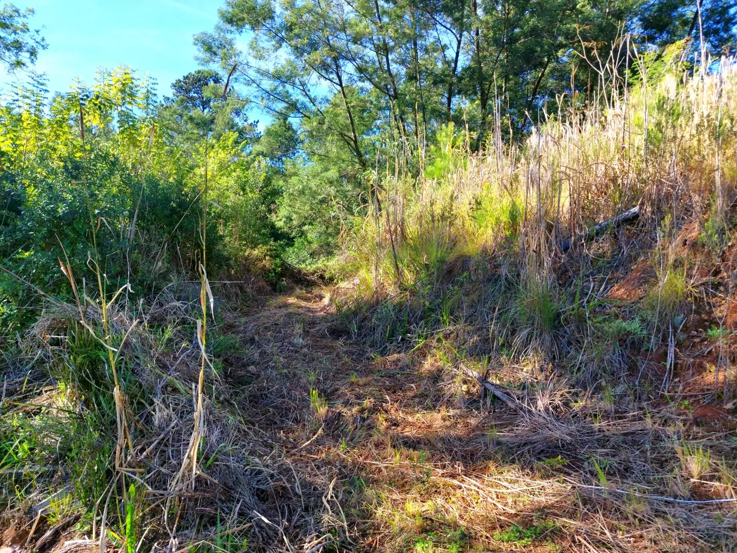 Área de terra à venda em Nova Petrópolis na Serra Gaúcha