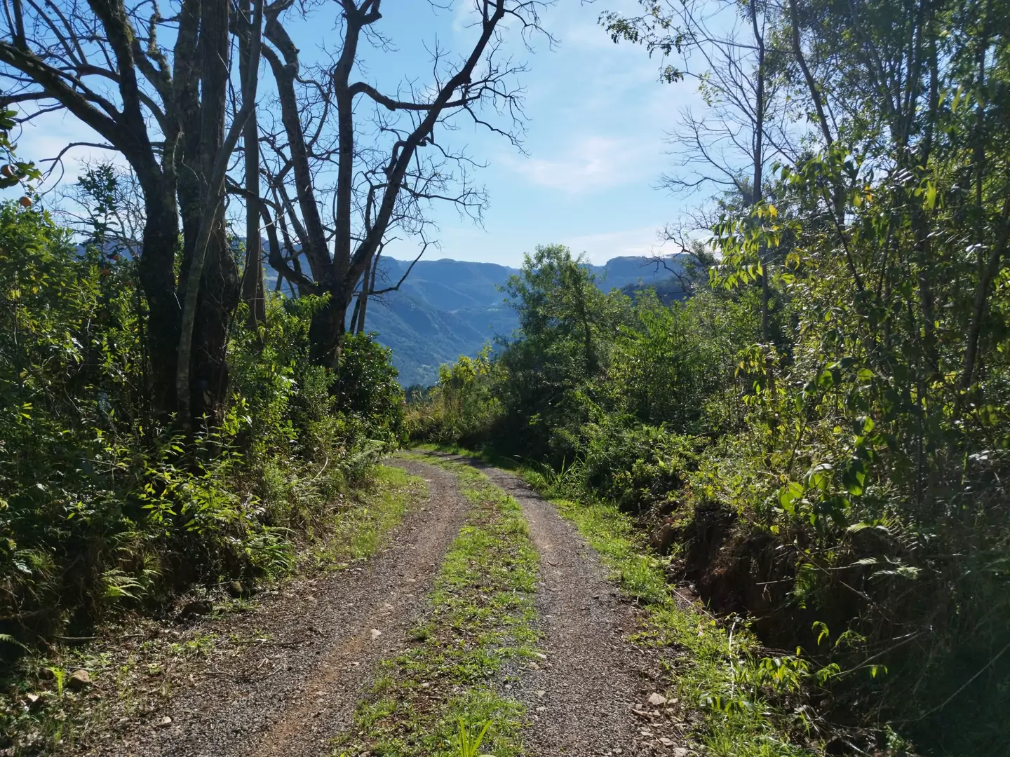 Área de terra à venda em Nova Petrópolis na Serra Gaúcha