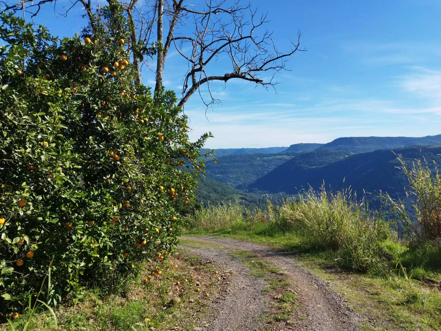 Área de terra à venda em Nova Petrópolis na Serra Gaúcha