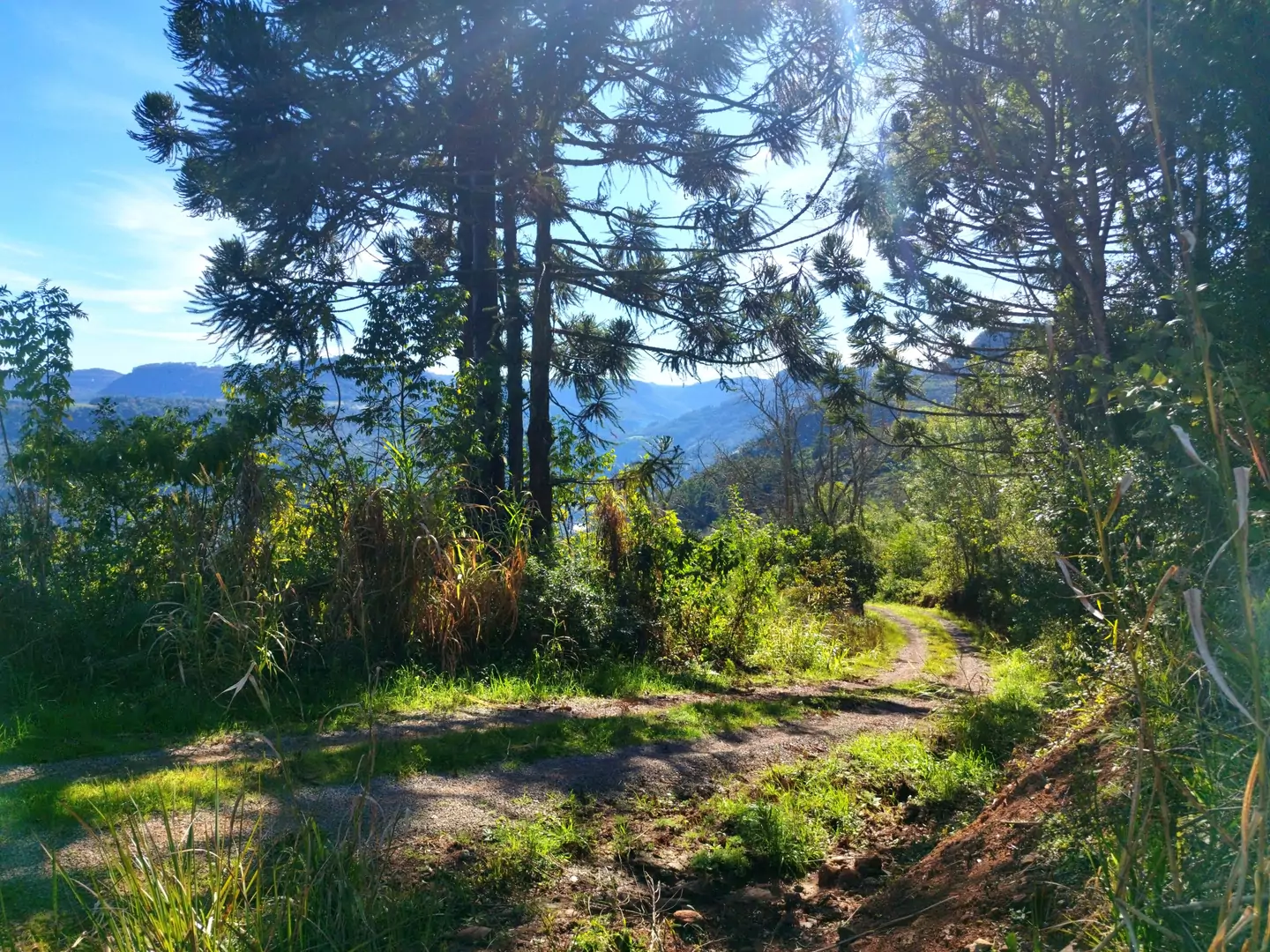Área de terra à venda em Nova Petrópolis na Serra Gaúcha