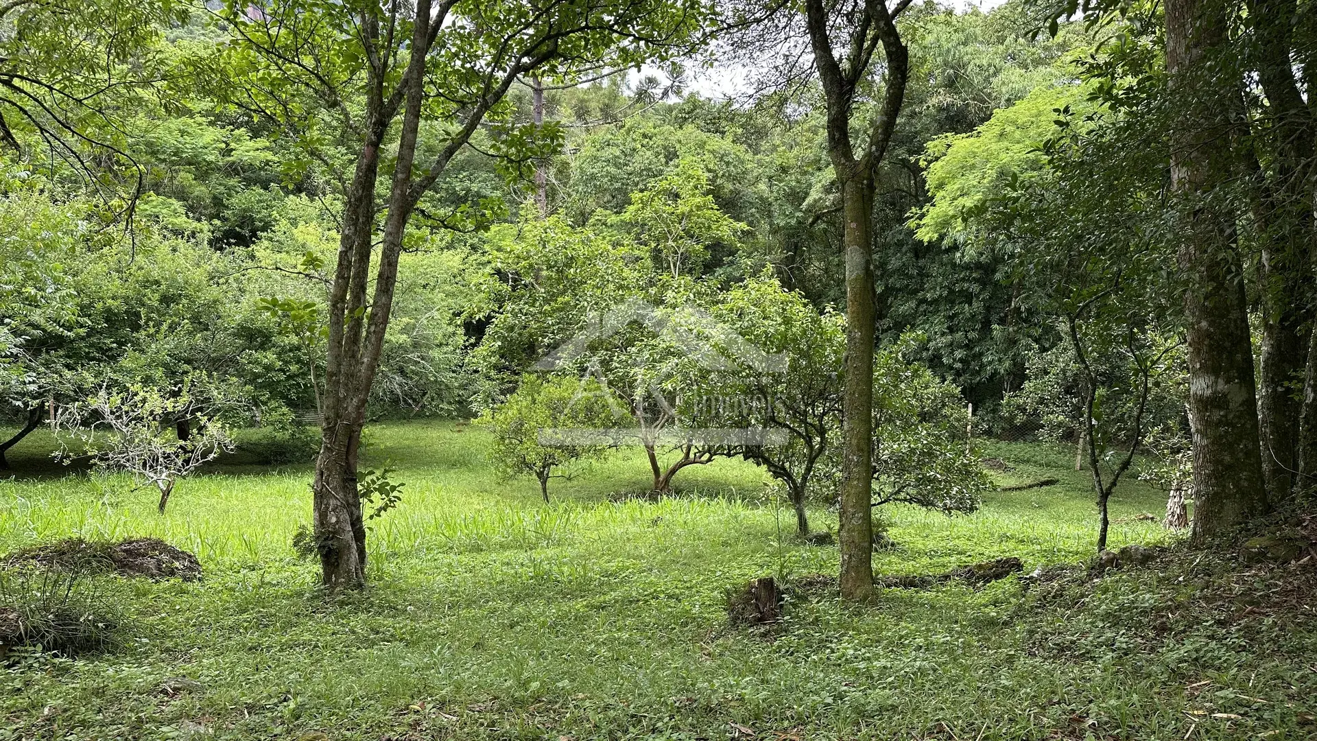 Imagens do imóveis Sítio com rio à venda no interior de Santa Maria do Herval RS