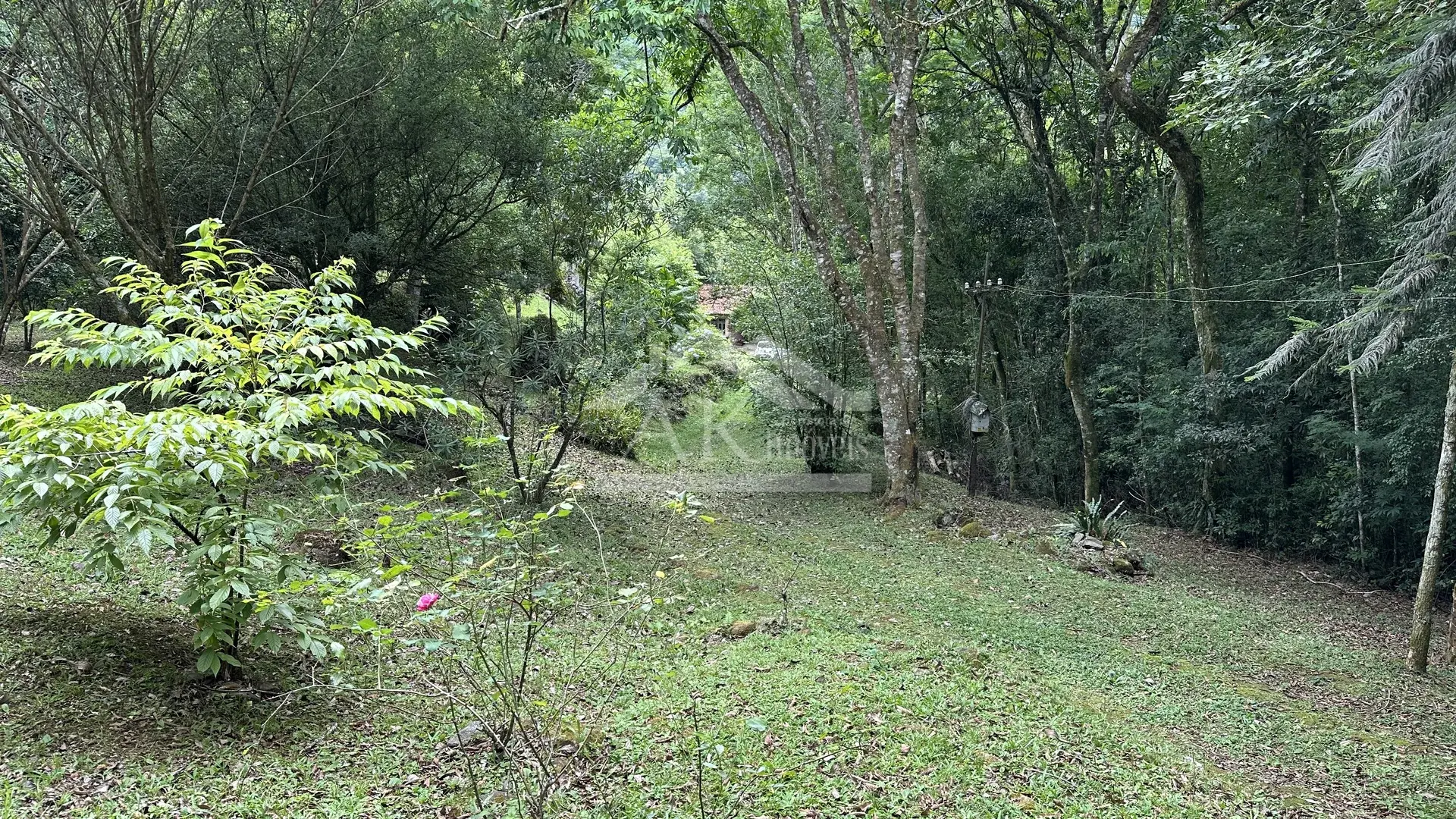 Imagens do imóveis Sítio com rio à venda no interior de Santa Maria do Herval RS