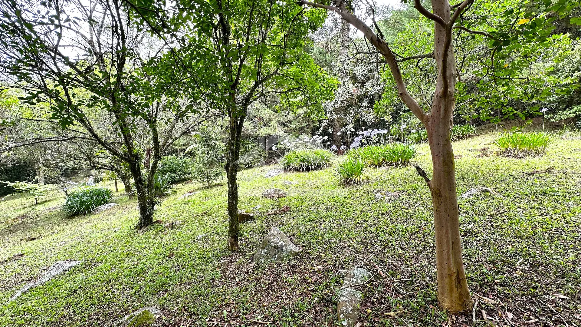 Imagens do imóveis Sítio com rio à venda no interior de Santa Maria do Herval RS