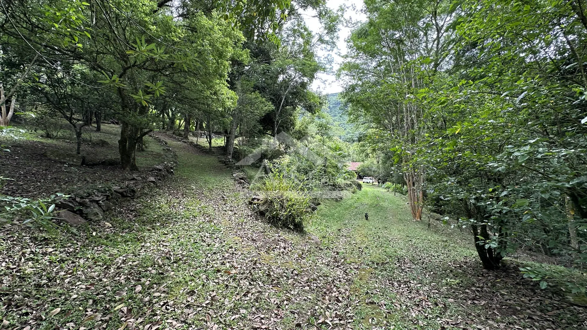 Imagens do imóveis Sítio com rio à venda no interior de Santa Maria do Herval RS