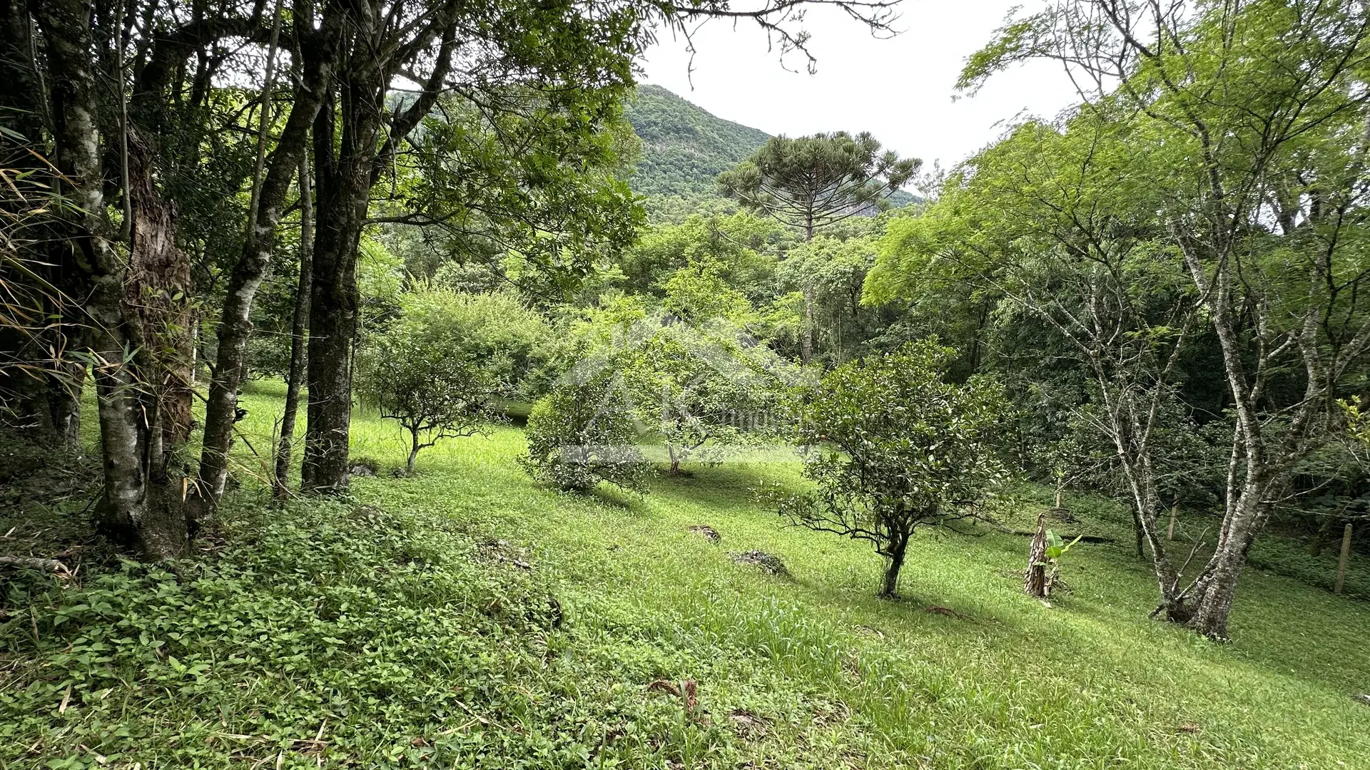 Imagens do imóveis Sítio com rio à venda no interior de Santa Maria do Herval RS