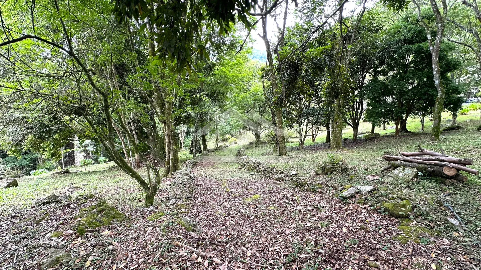 Imagens do imóveis Sítio com rio à venda no interior de Santa Maria do Herval RS