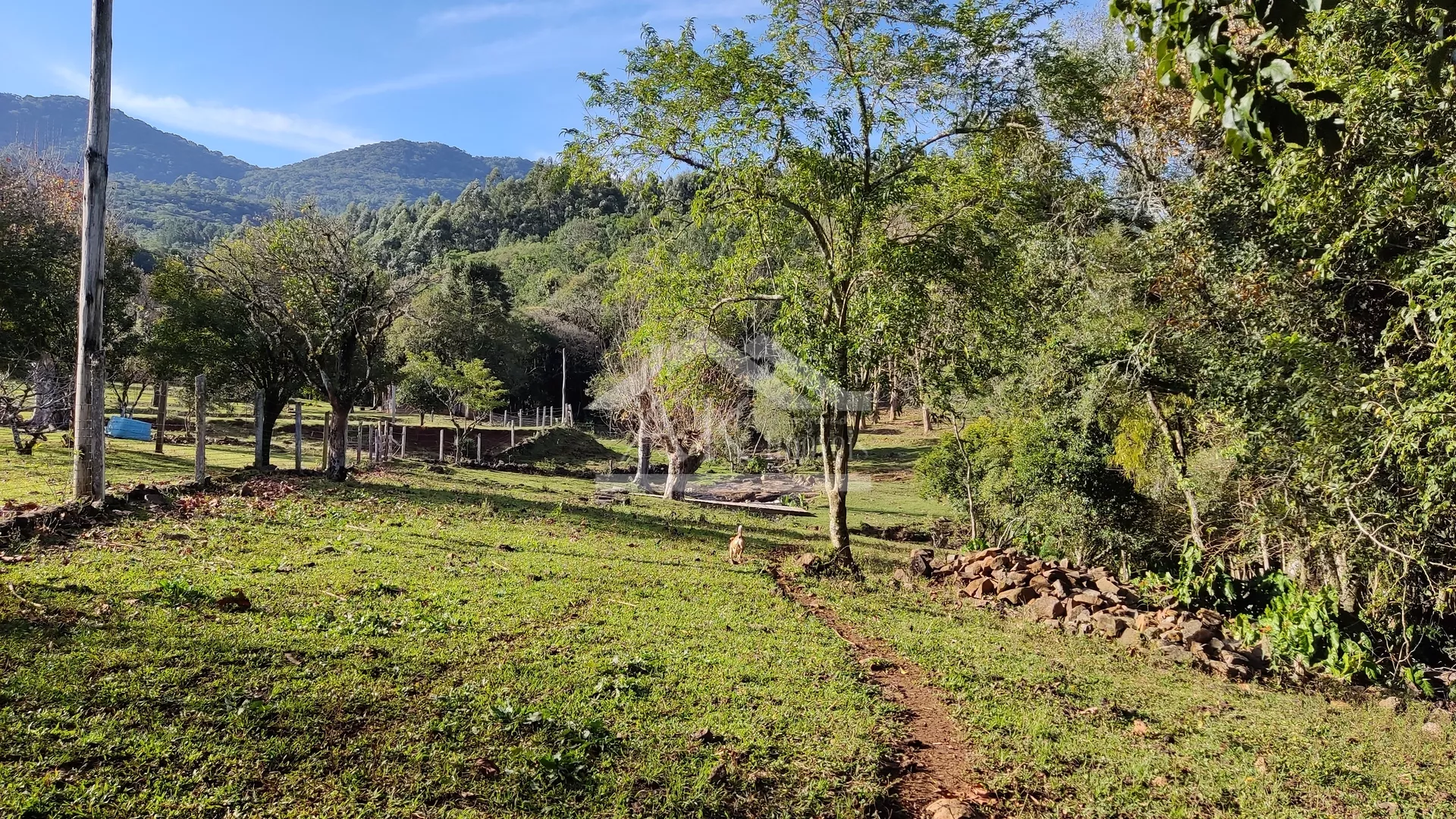 Sítio com potencial turístico à venda em São Francisco de Paula