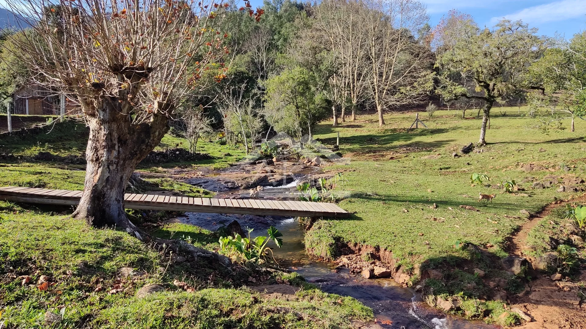 Sítio com potencial turístico à venda em São Francisco de Paula