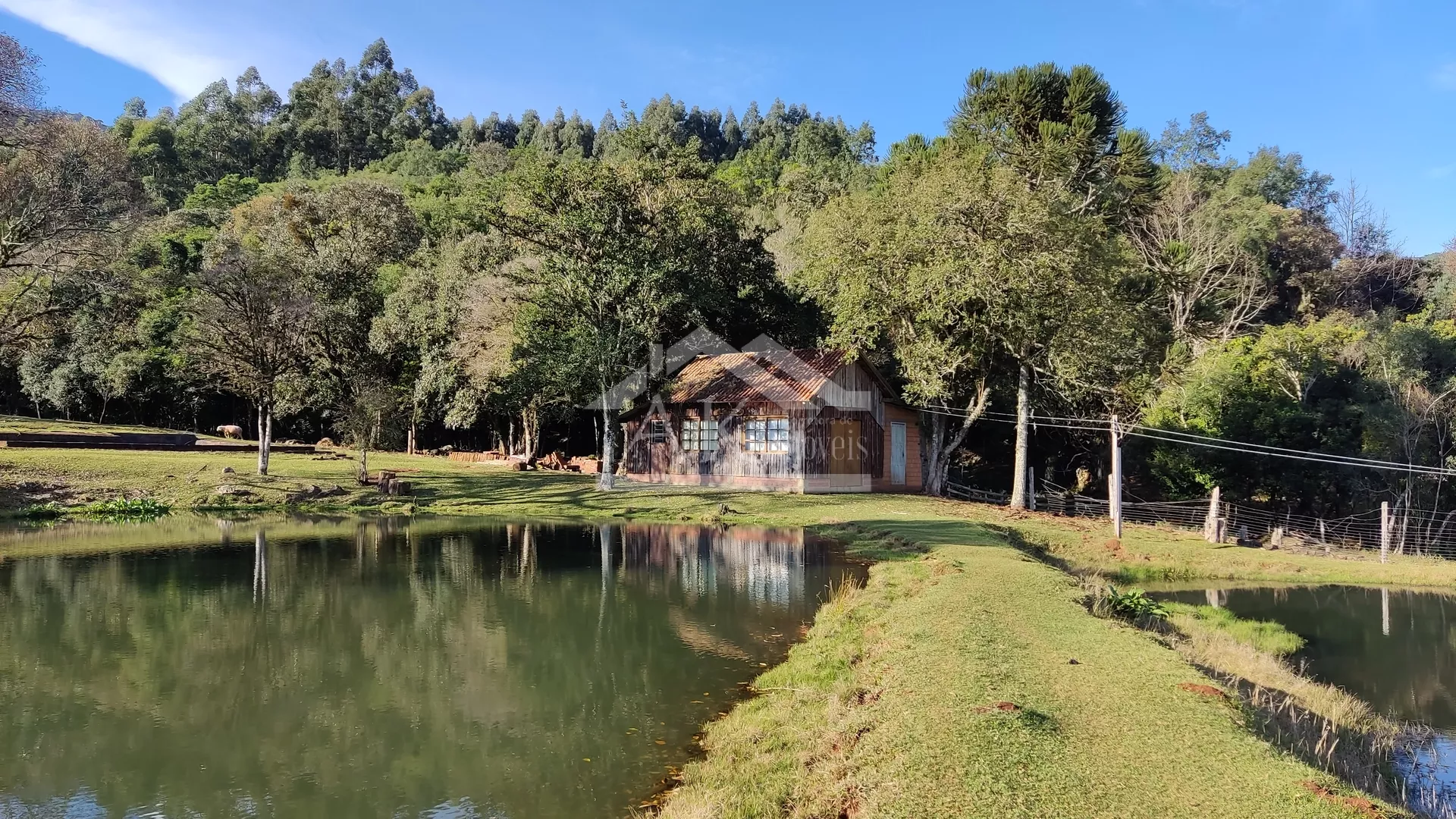 Sítio com potencial turístico à venda em São Francisco de Paula