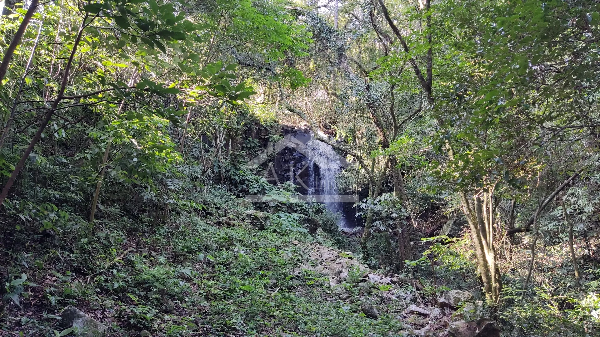 Sítio com potencial turístico à venda em São Francisco de Paula