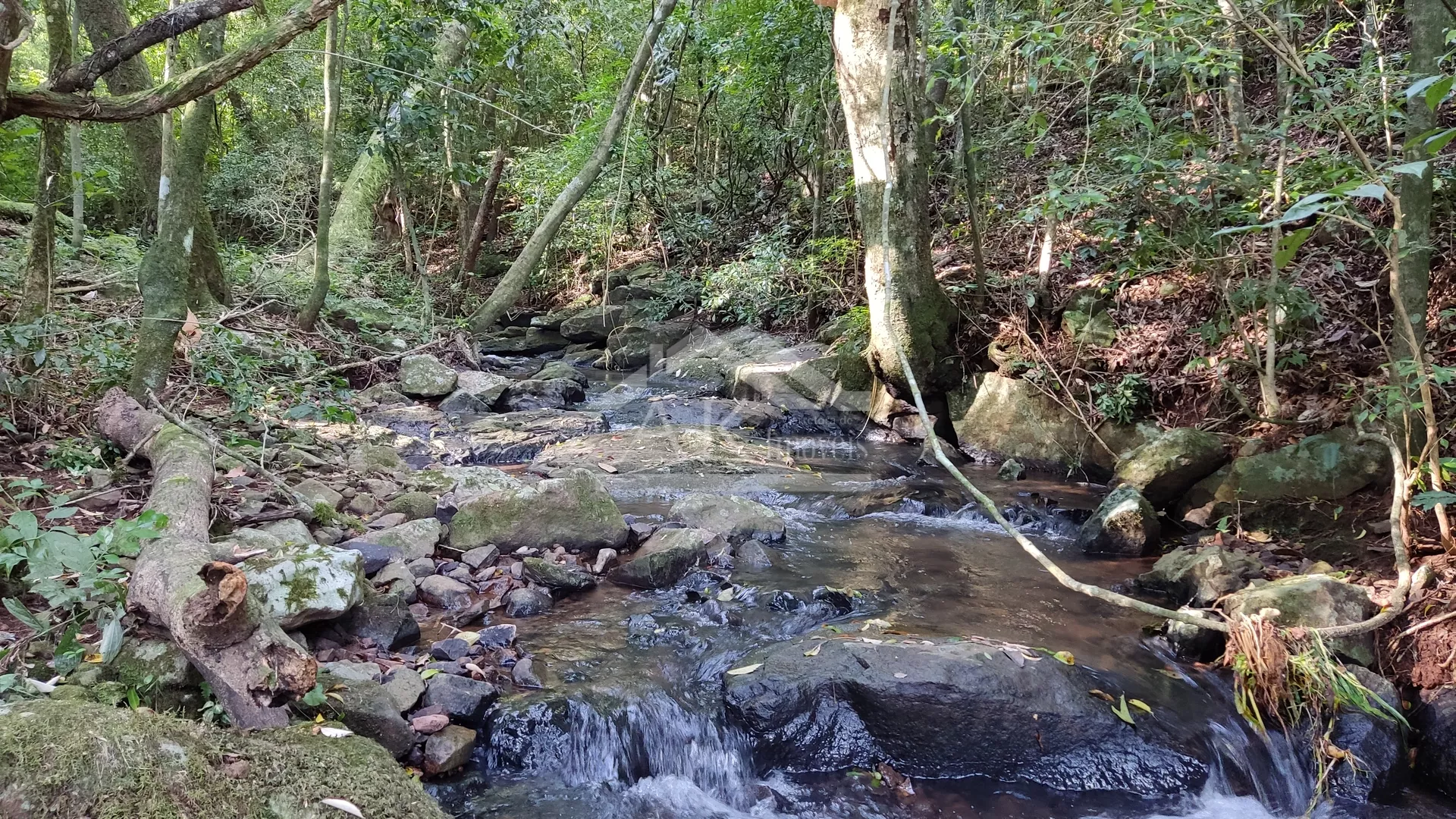 Sítio com potencial turístico à venda em São Francisco de Paula
