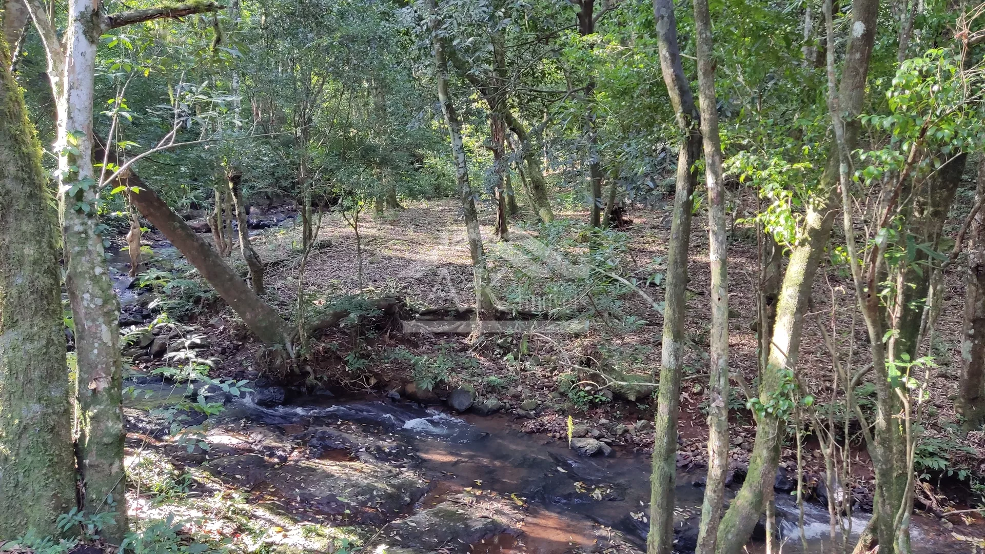 Sítio com potencial turístico à venda em São Francisco de Paula