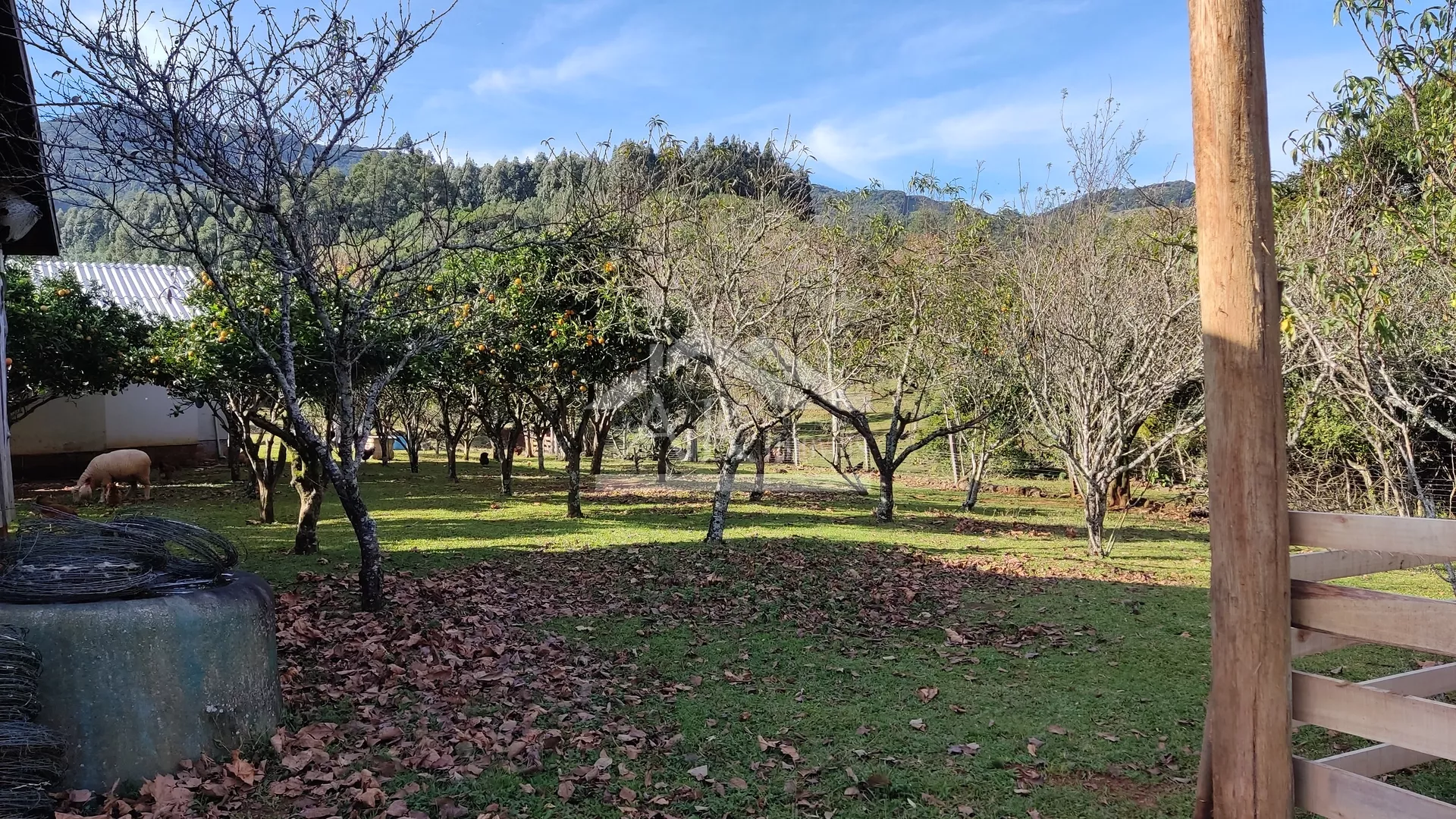 Sítio com potencial turístico à venda em São Francisco de Paula
