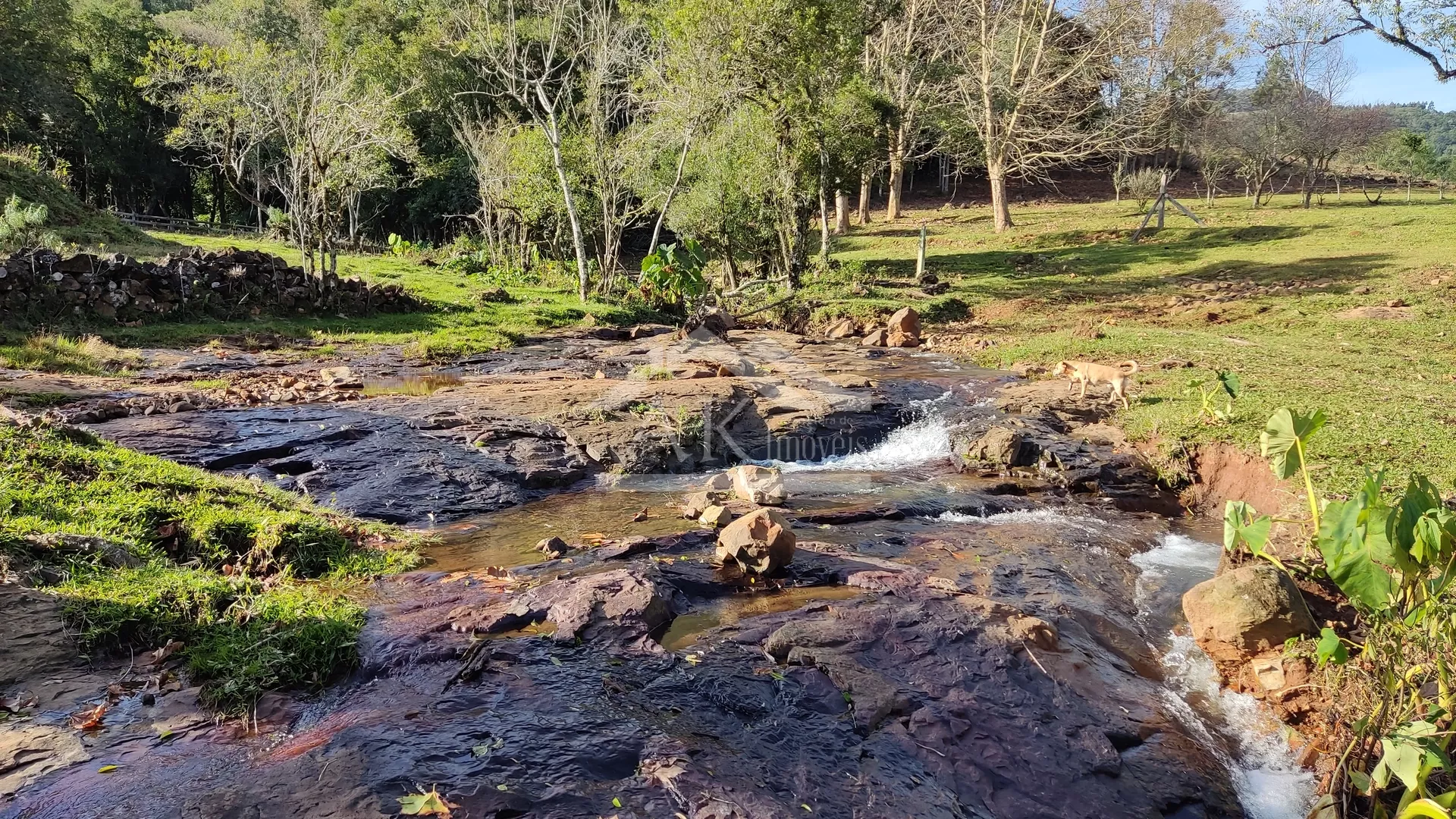 Sítio com potencial turístico à venda em São Francisco de Paula