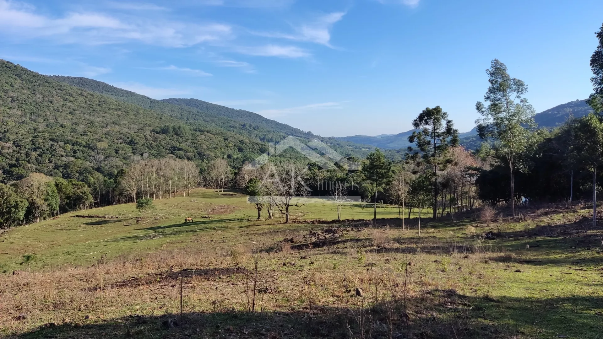 Sítio com potencial turístico à venda em São Francisco de Paula
