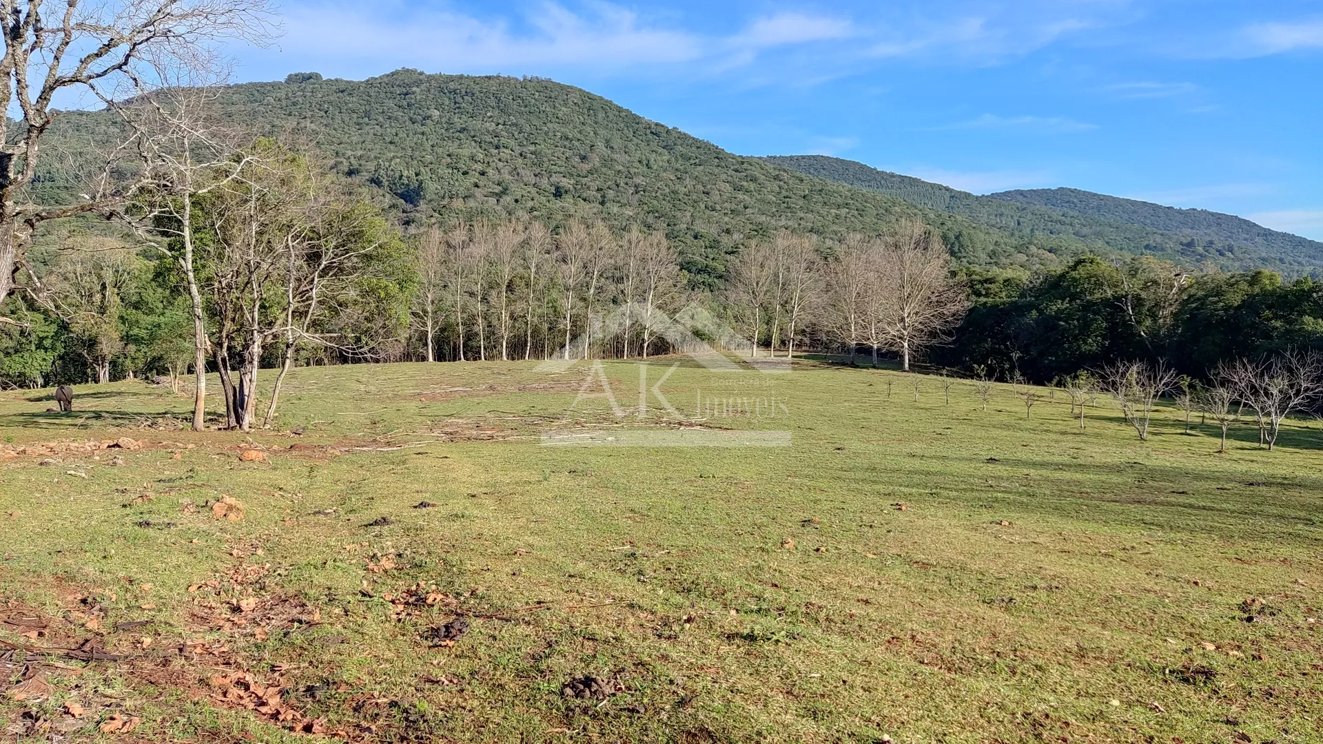Sítio com potencial turístico à venda em São Francisco de Paula