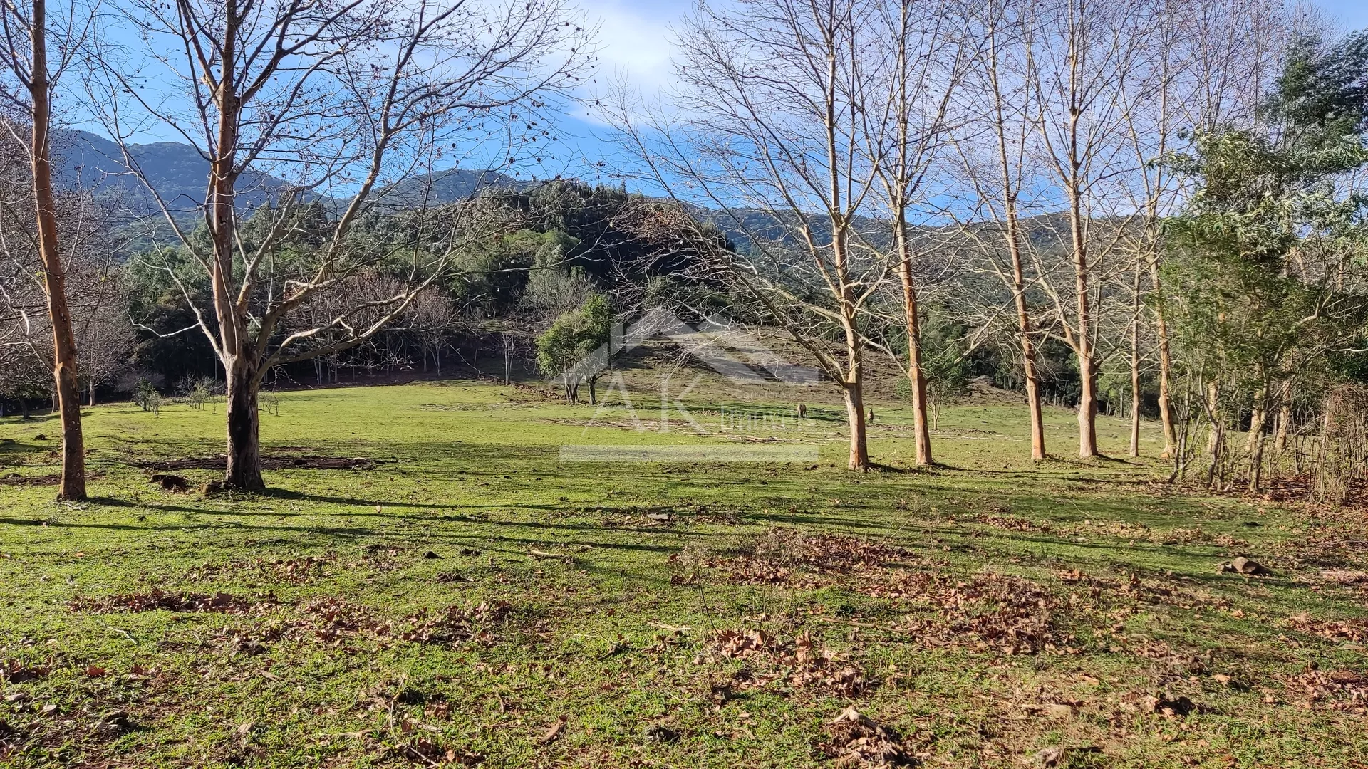 Sítio com potencial turístico à venda em São Francisco de Paula