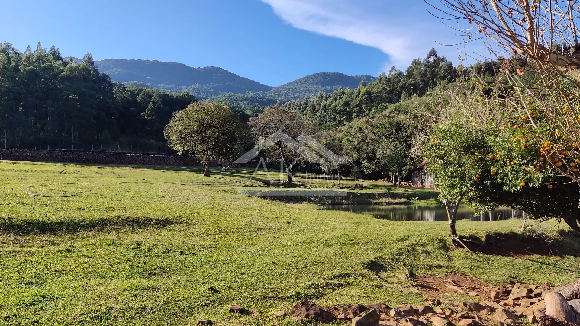Sítio com potencial turístico à venda em São Francisco de Paula