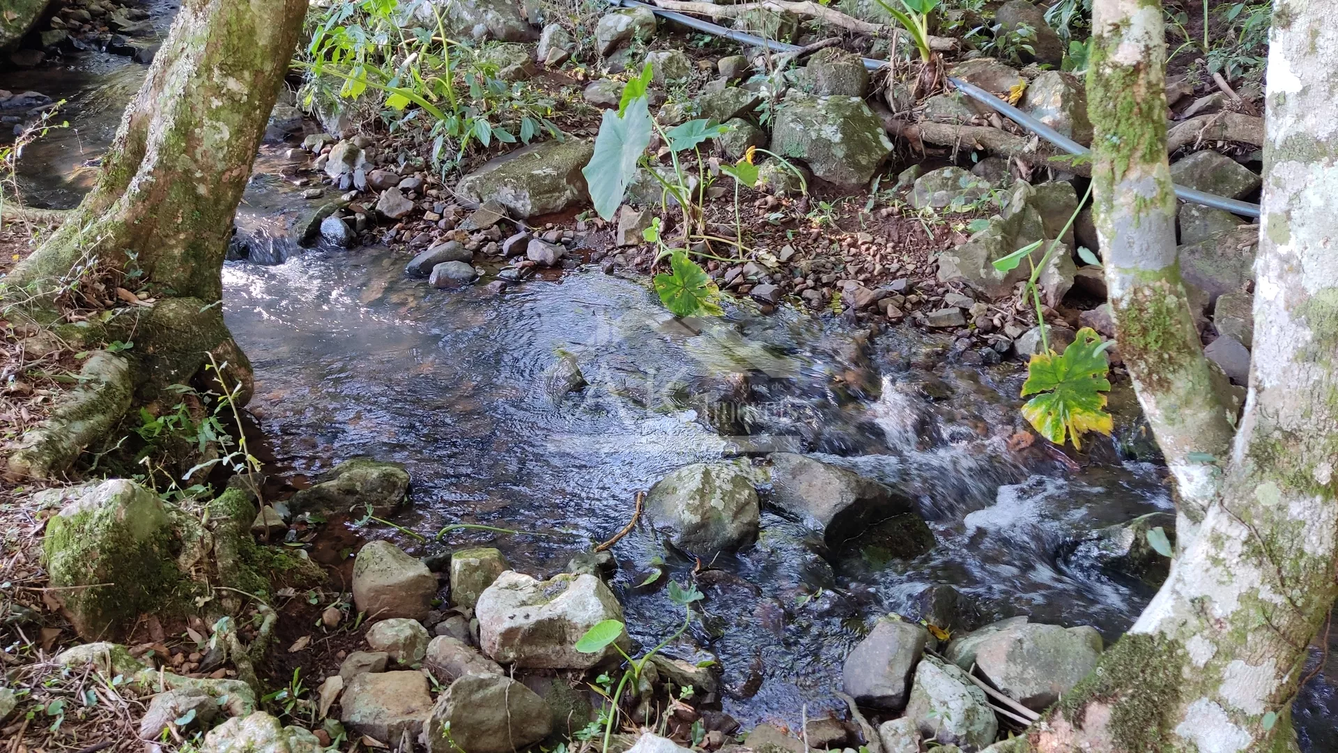 Sítio com potencial turístico à venda em São Francisco de Paula