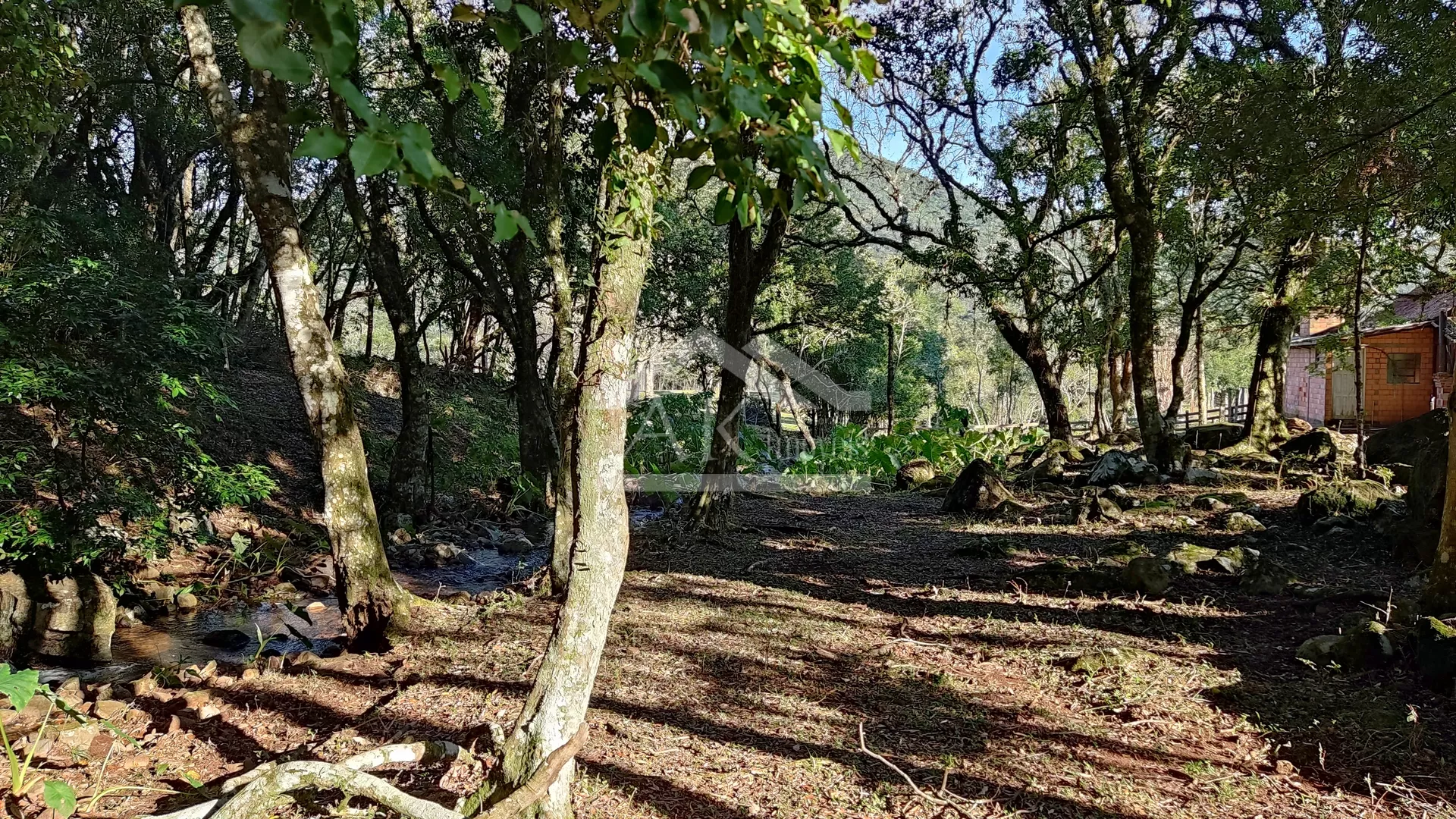 Sítio com potencial turístico à venda em São Francisco de Paula