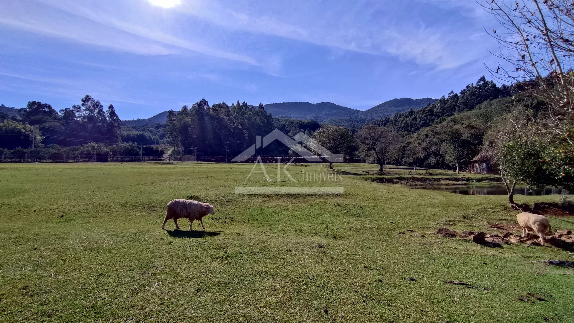 Sítio com potencial turístico à venda em São Francisco de Paula