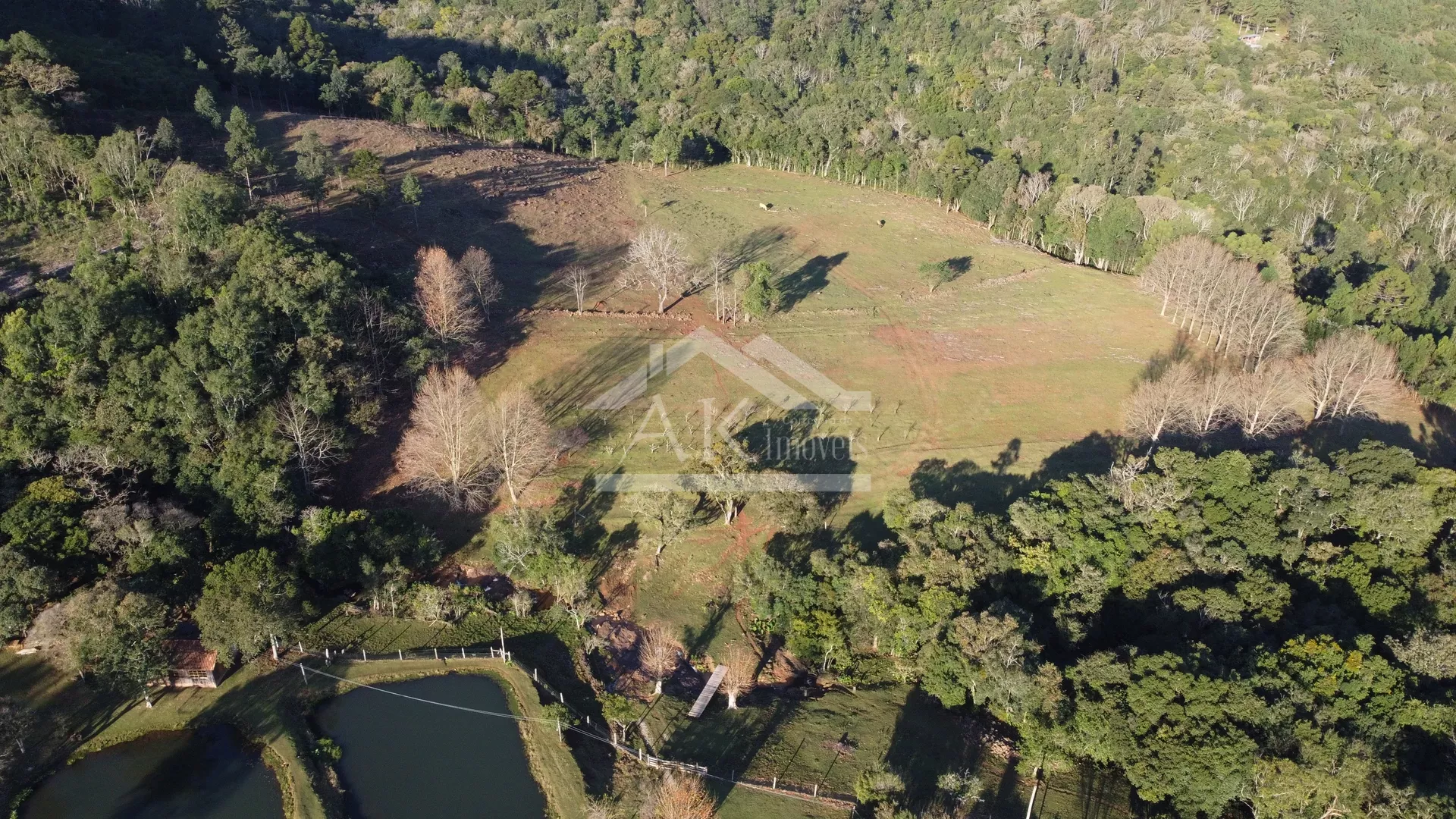 Sítio com potencial turístico à venda em São Francisco de Paula